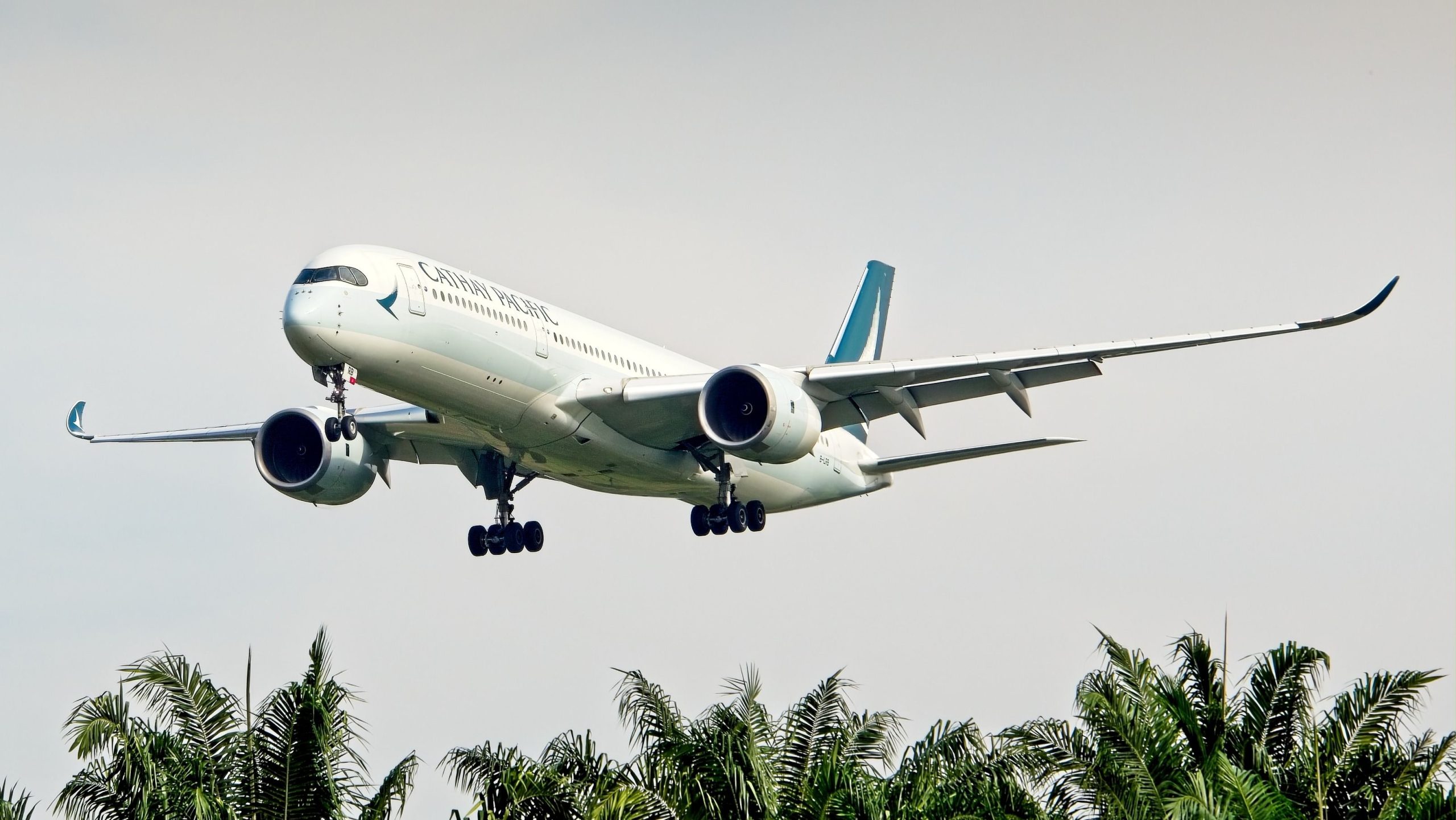 Cathay Pacific Plans 8 percorsi e fino a 16 voli USA e Canada ogni giorno la prossima estate