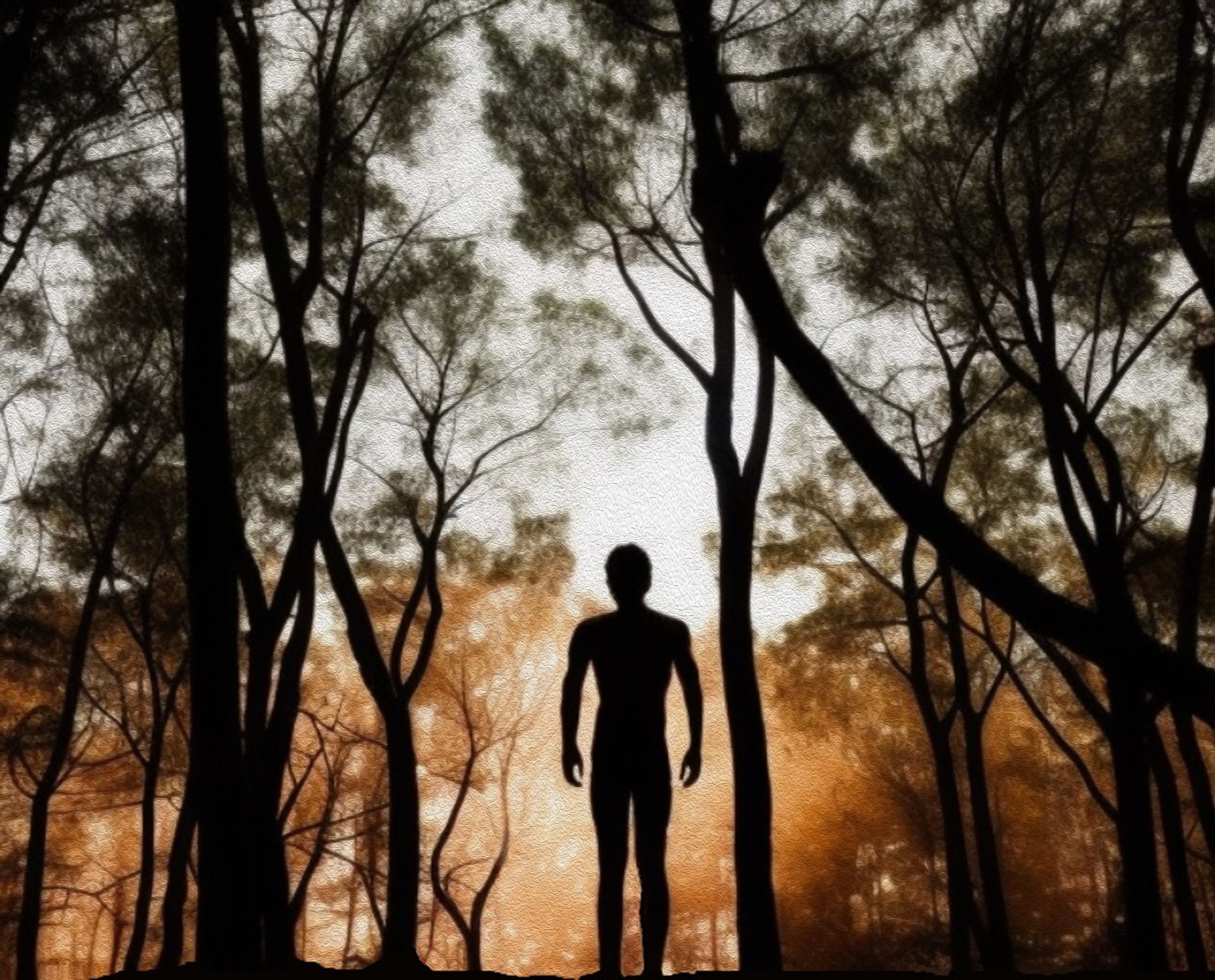 American Youtuber a arrêté après avoir prétendument tenté de contacter la tribu la plus isolée du monde