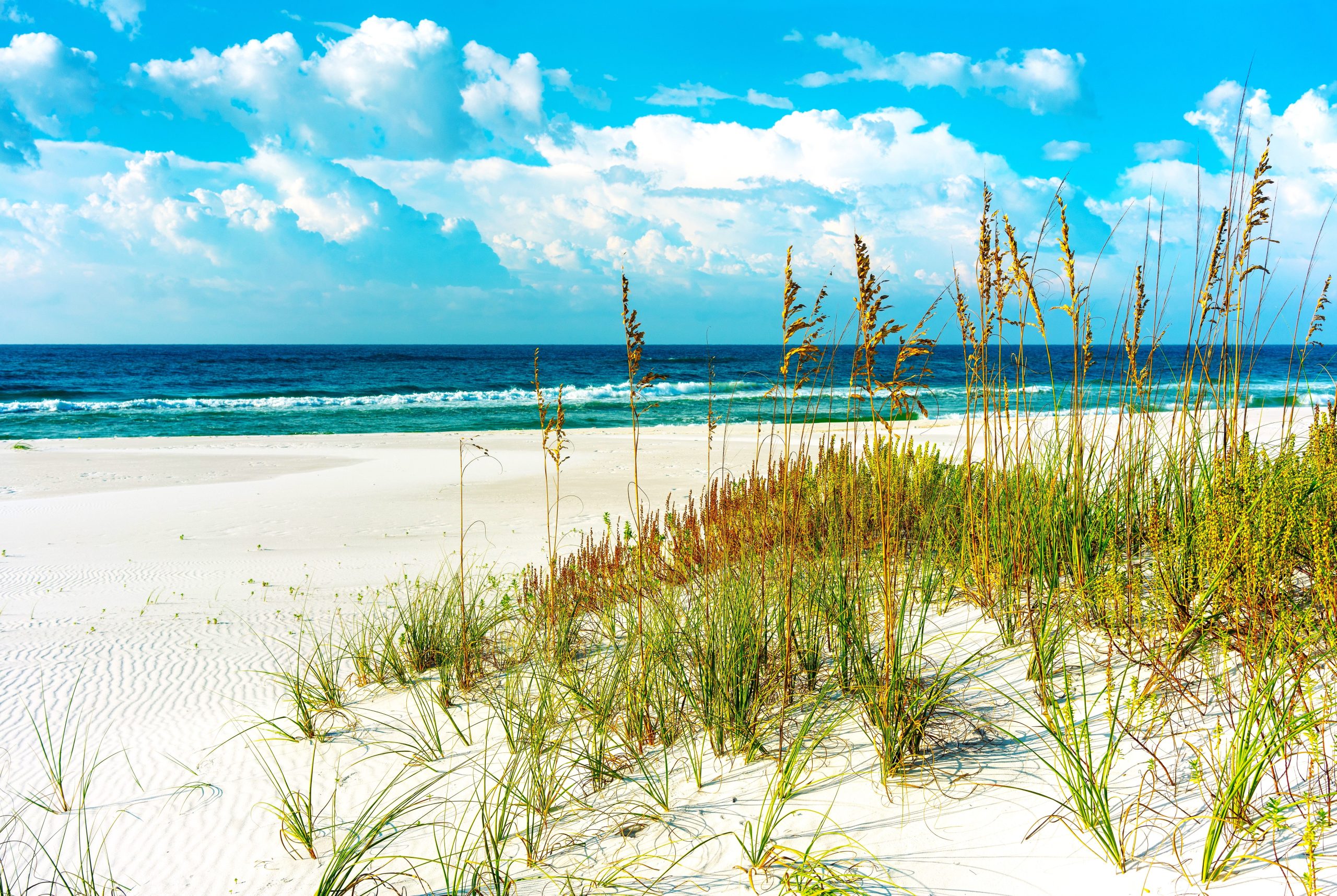 Skip Key West: questa spiaggia della Florida sottovalutata ha tutto il fascino storico senza la folla
