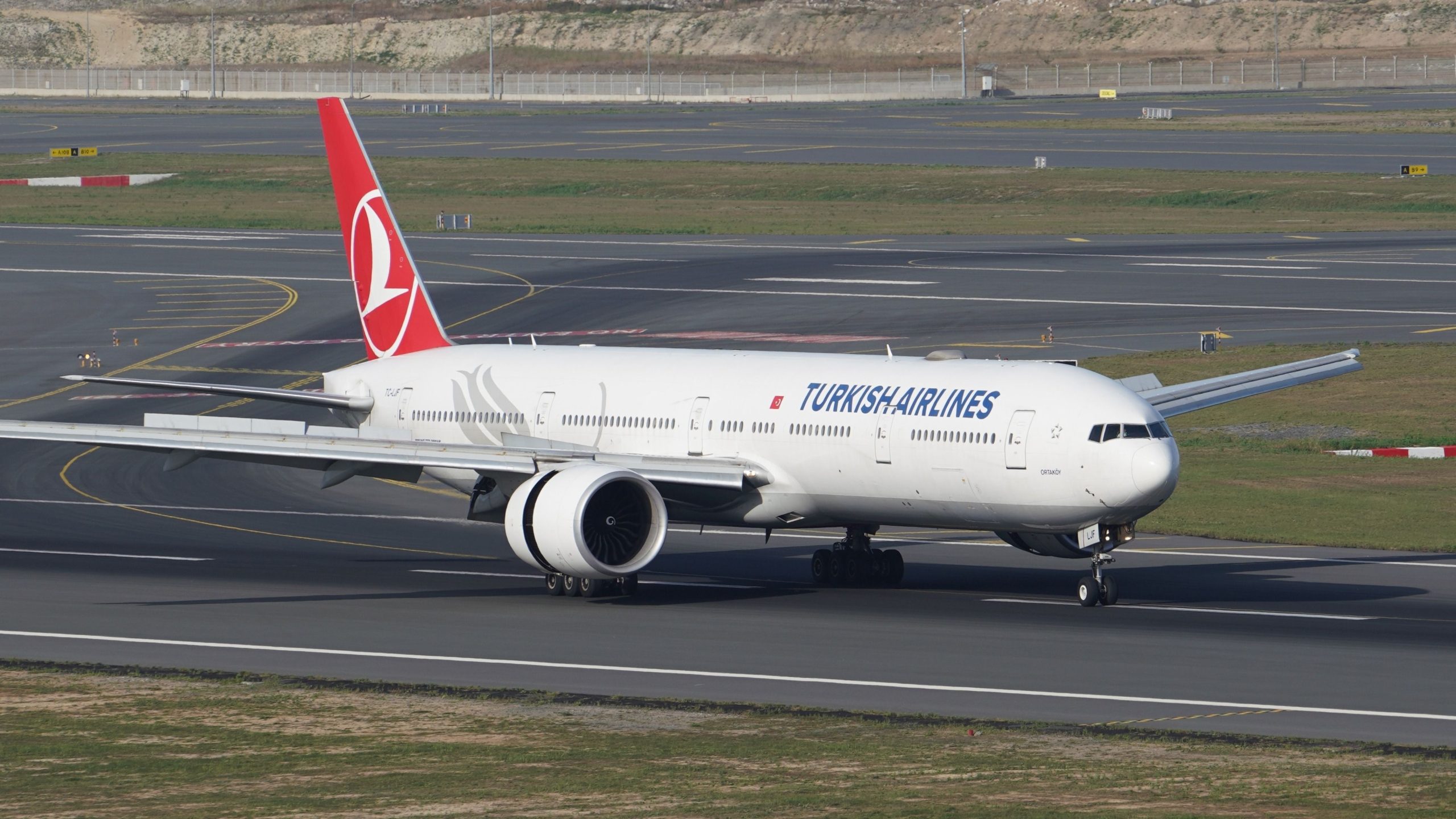 O gato escapado faz com que o voo da Turkish Airlines ligado a Atenas retorne ao portão em Istambul