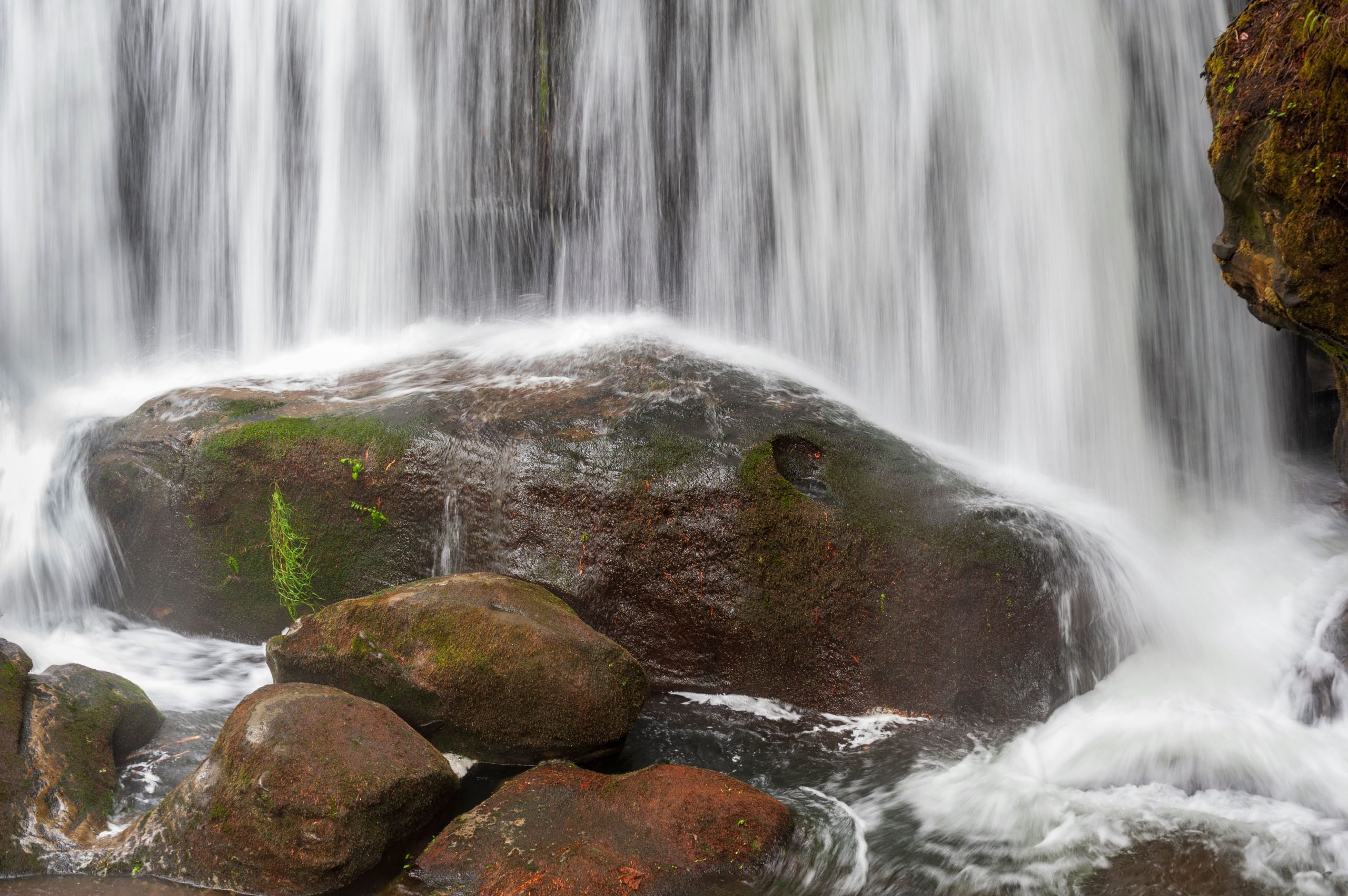 Skip New York: «Niagara Falls» de l'Oregon est une merveille sous-estimée mais pittoresque du Pacifique Nord-Ouest
