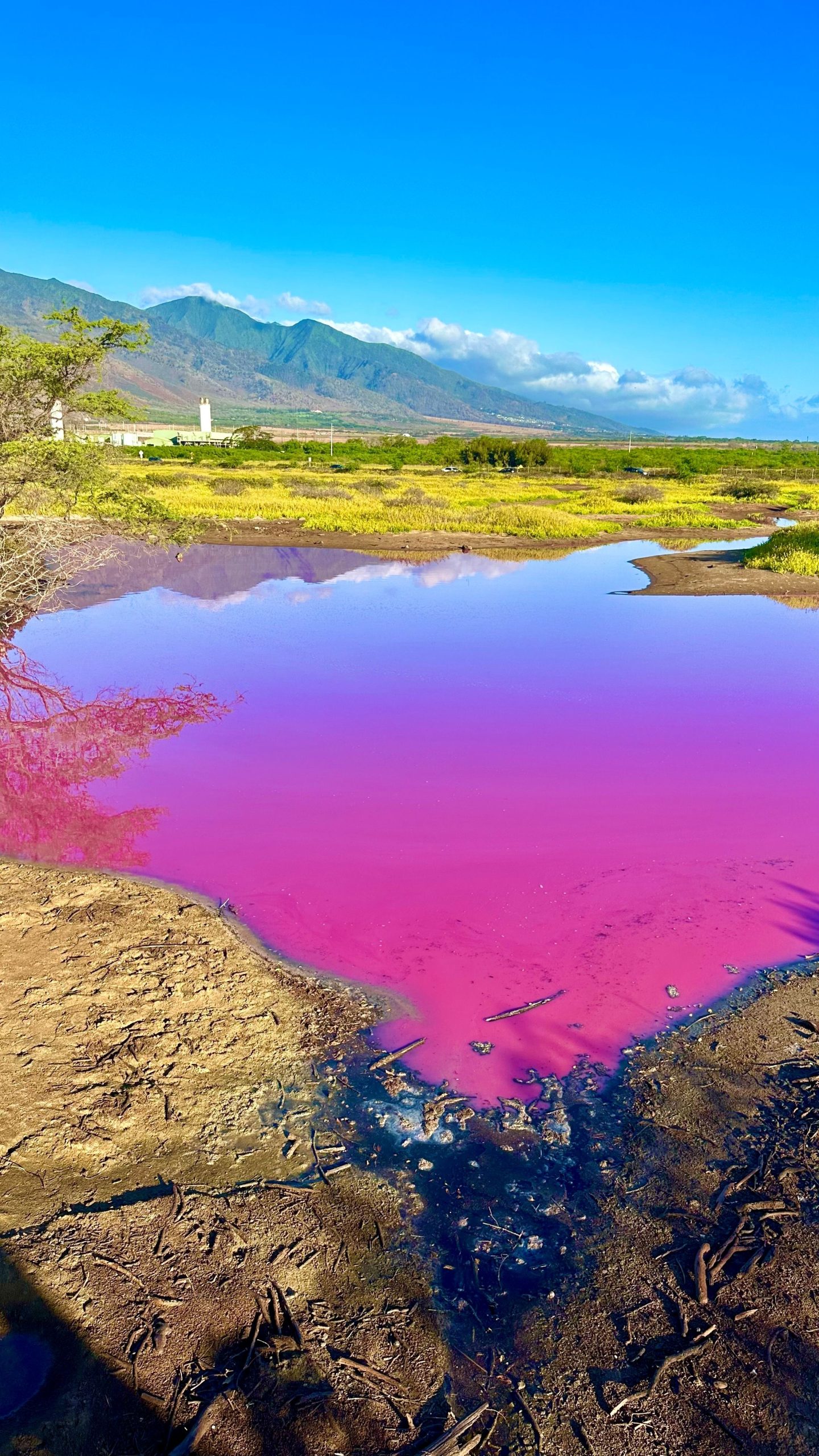 Dimentica l'Australia: questi laghi rosa in America esistono effettivamente