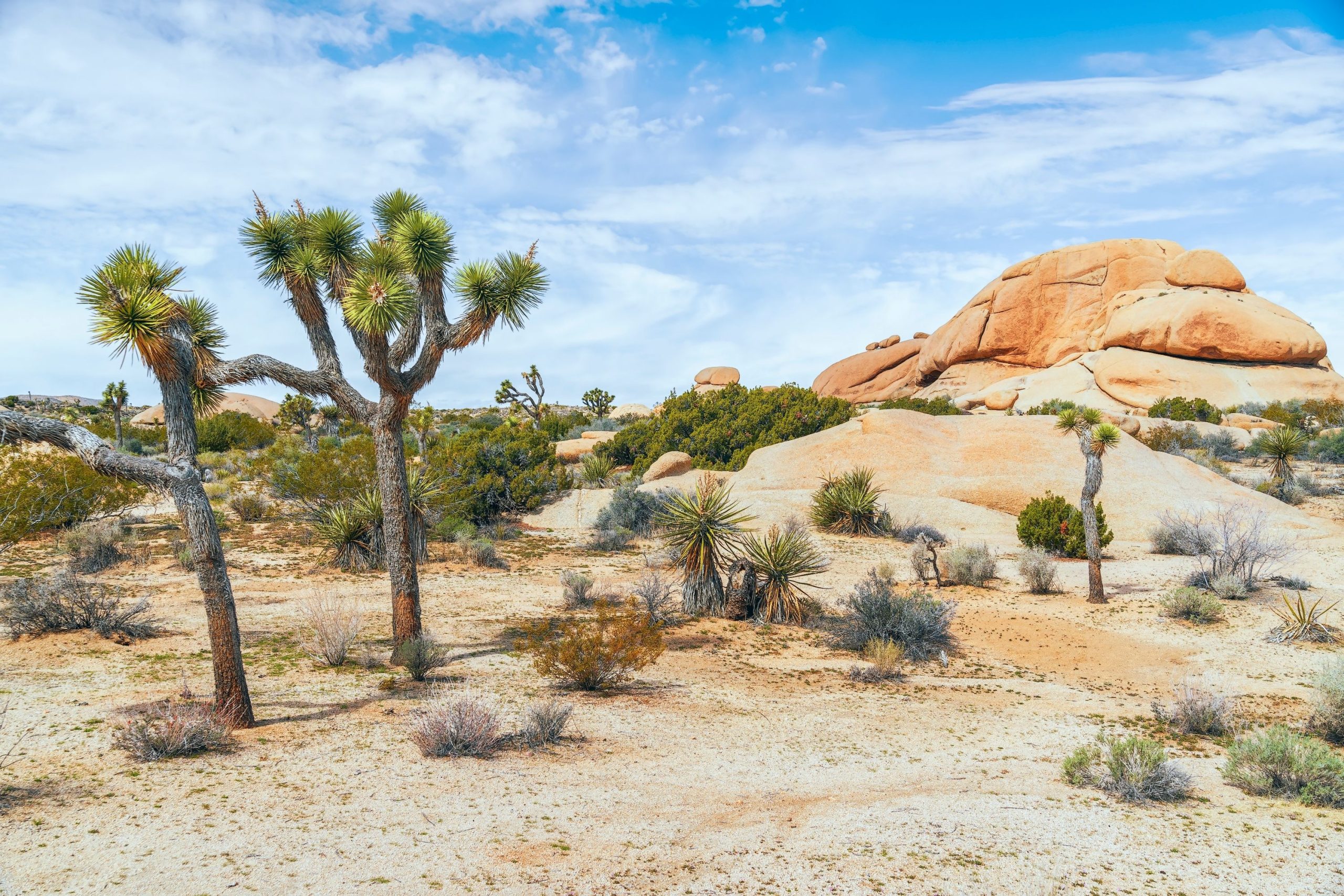 Tick-Tock: Ce parc national de Californie pourrait disparaître d'ici 2100