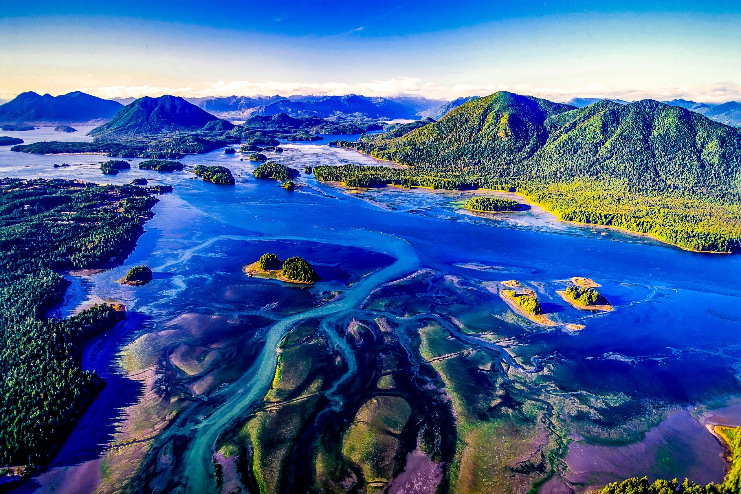 Os cientistas descobrem milhares de ovos gigantes em um vulcão subaquático 