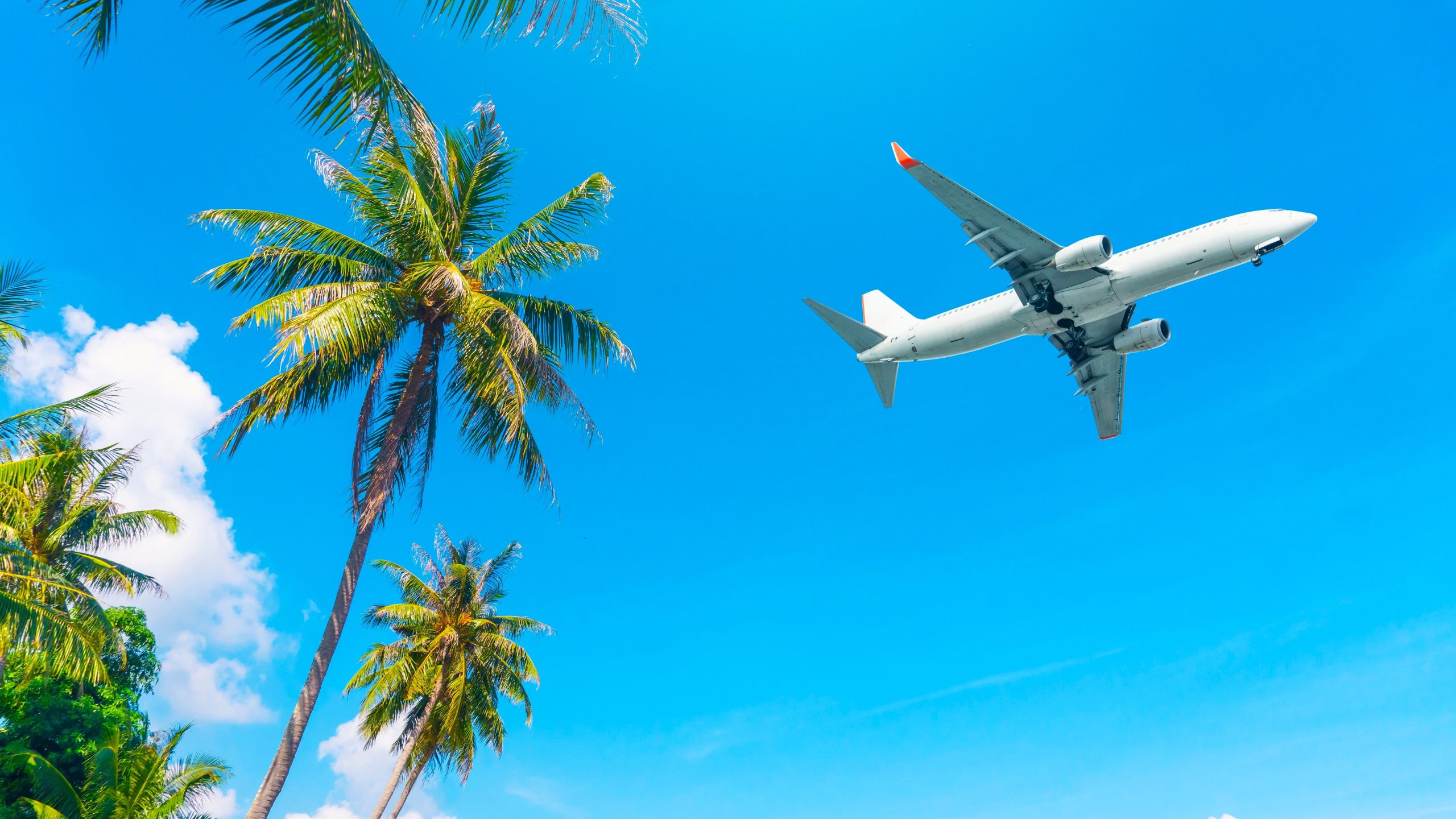 Les billets d'avion deviennent moins chers 