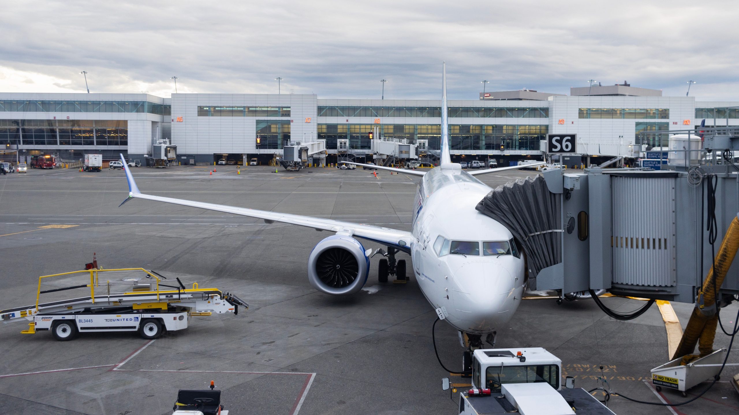 Sea Otter estar voando: Seattle Tacoma Airport apresenta o novo mascote "Jett"