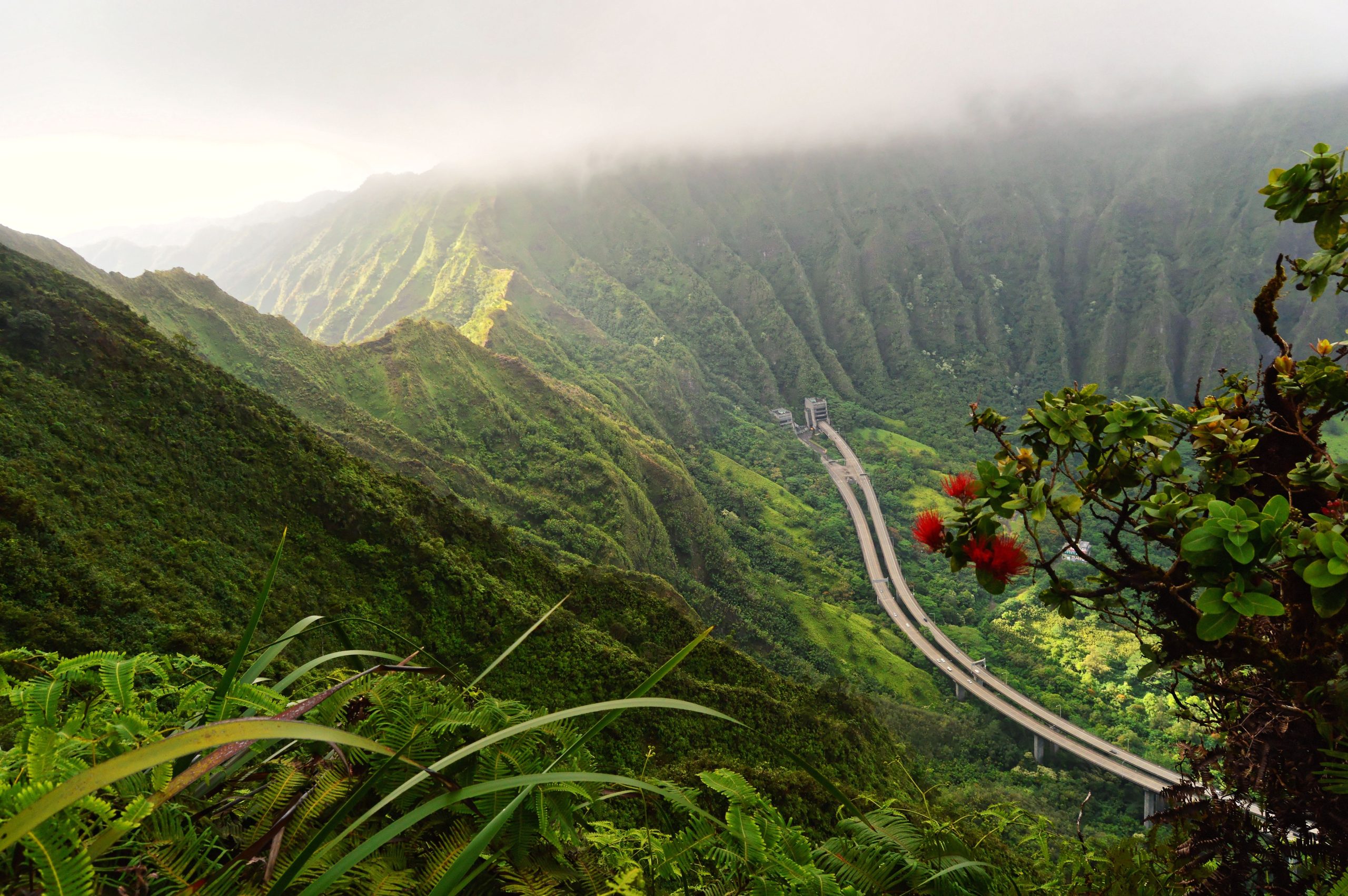 Vous serez arrêté lors de cette randonnée d'Hawaï, si vous ne vous blessez pas en premier
