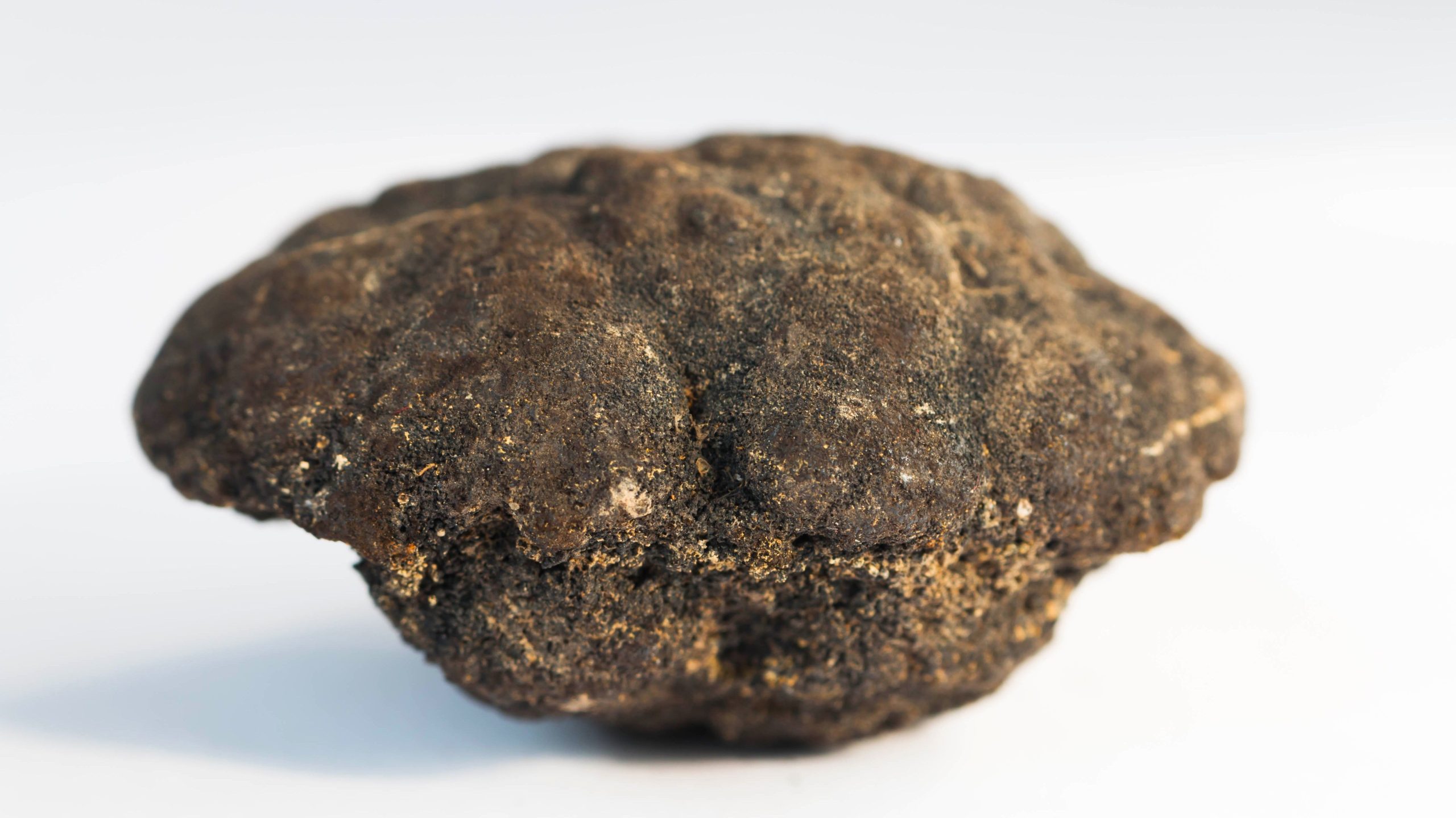 "Dark Oxygen" a découvert entre les États-Unis et le Mexique (et ce n'est pas bon)