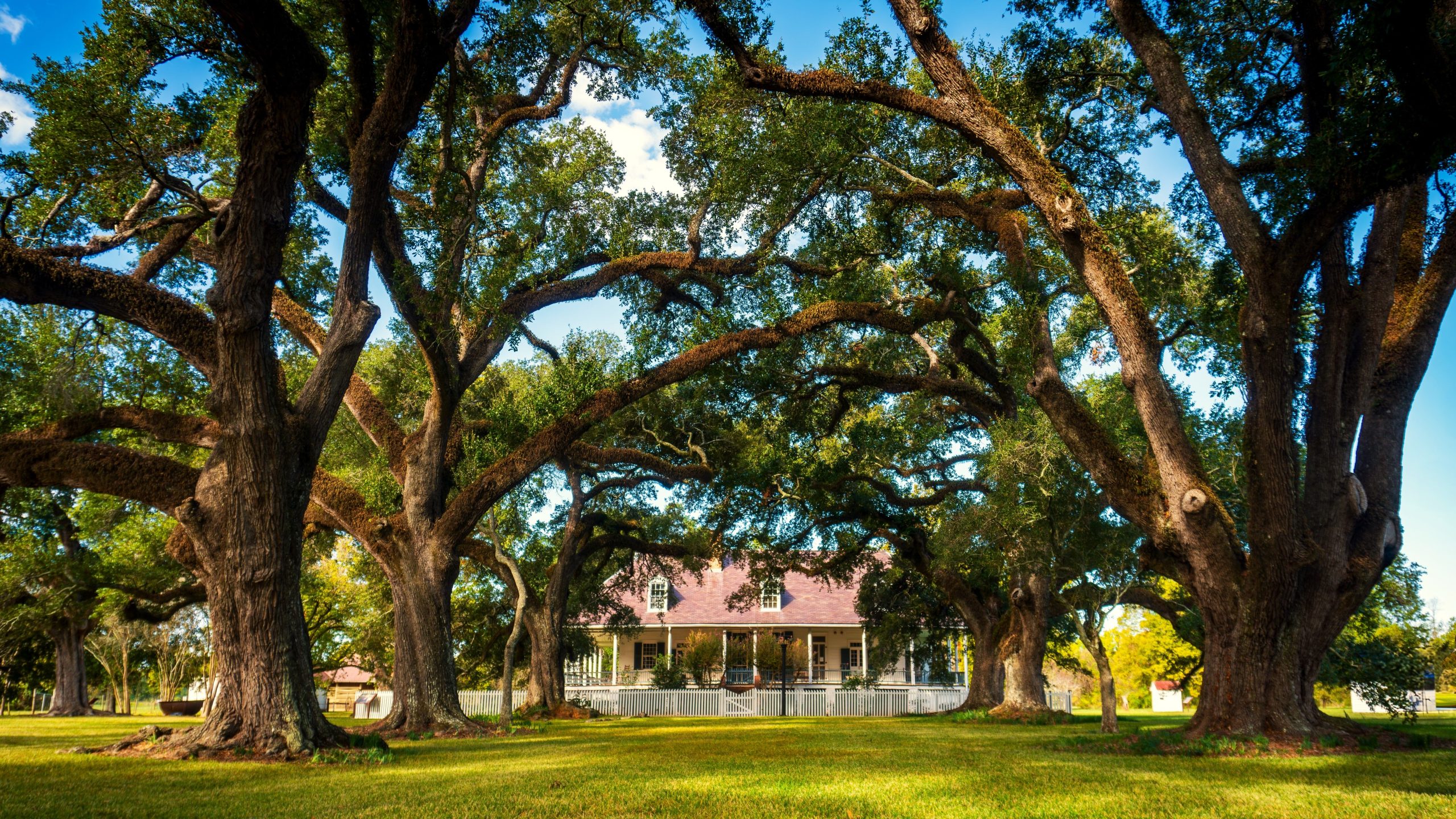 Skip Florida: 6 parcs nationaux sous-estimés en Louisiane pour visiter à la place