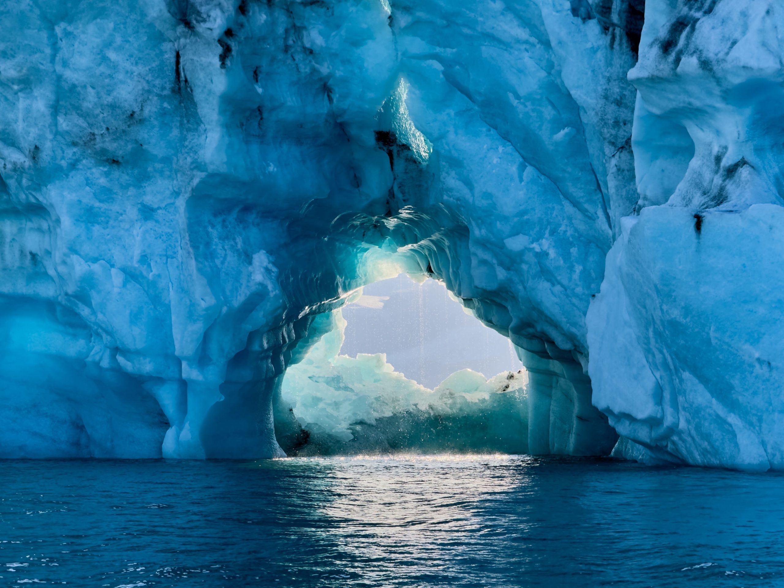L'île de la Géorgie du Sud a été épargnée après l'arrêt du plus grand iceberg du monde, mais ce n'est pas encore fini