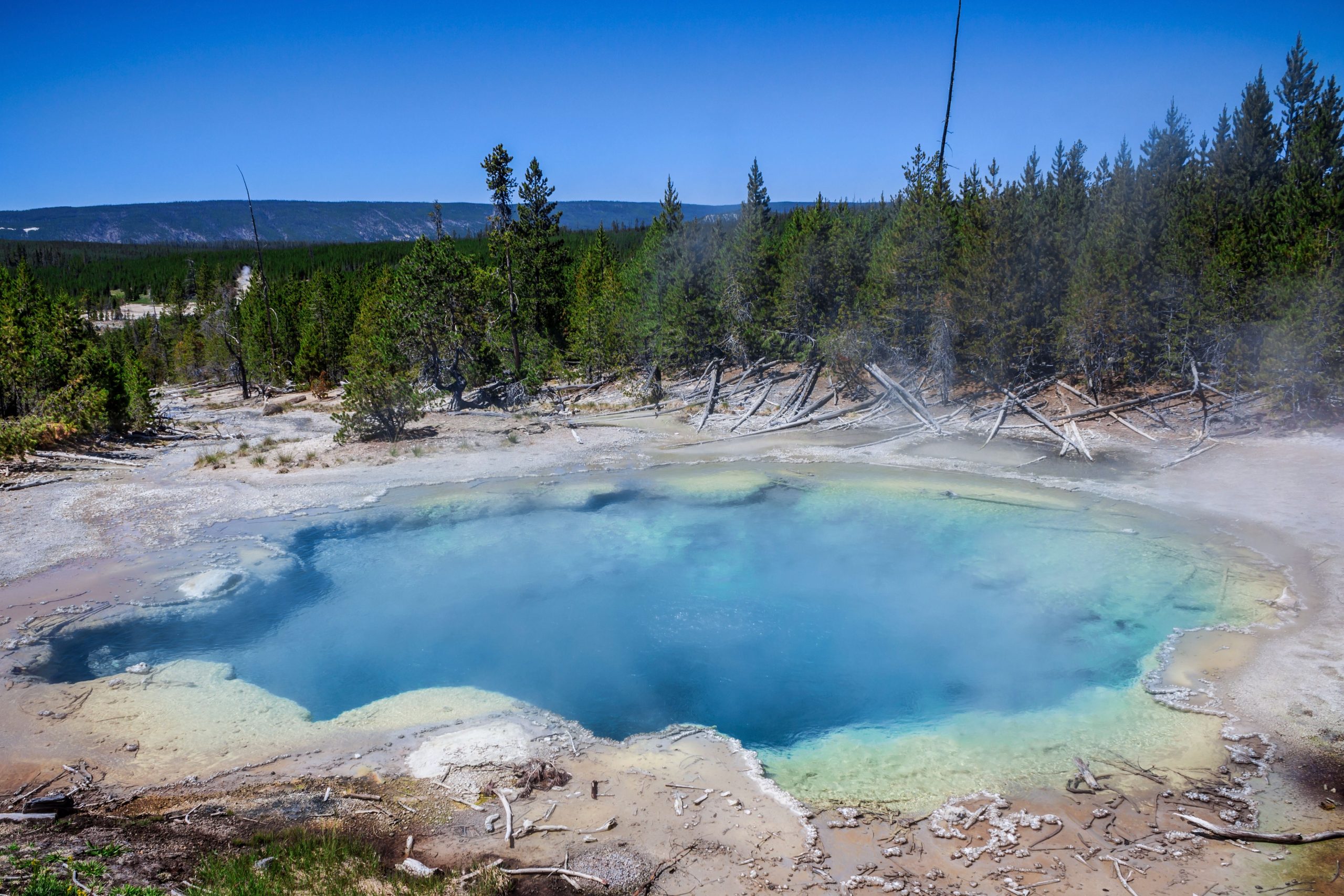 Le visiteur perd sa vie dans le parc national de Yellowstone après avoir ignoré l'avertissement de printemps chaud acide à l'ébullition