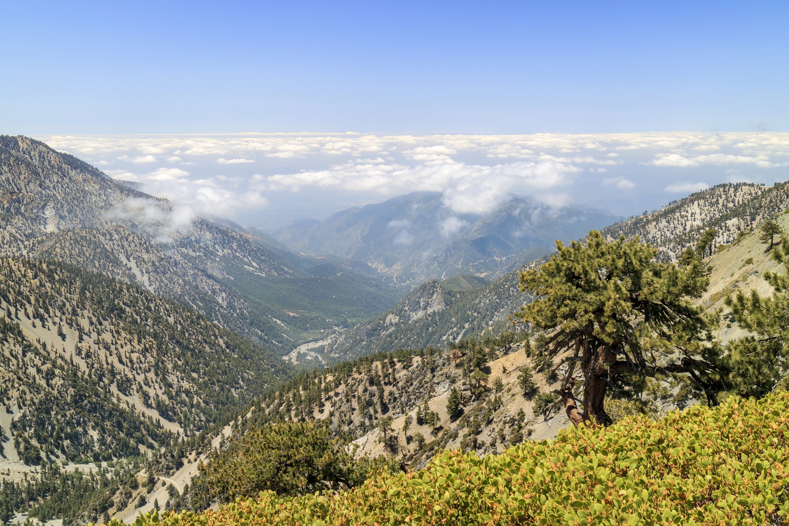 L'un des sentiers les plus populaires de Los Angeles continue de prendre la vie des randonneurs