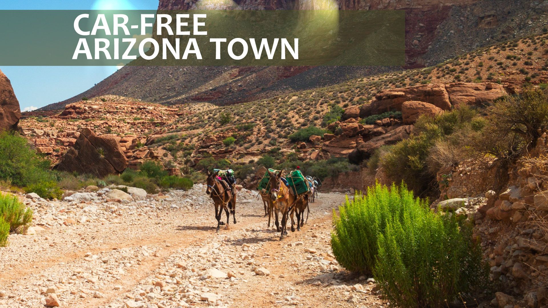 Esta cidade do Arizona sem carros no Grand Canyon é o lugar mais exclusivo dos EUA por um motivo incomum