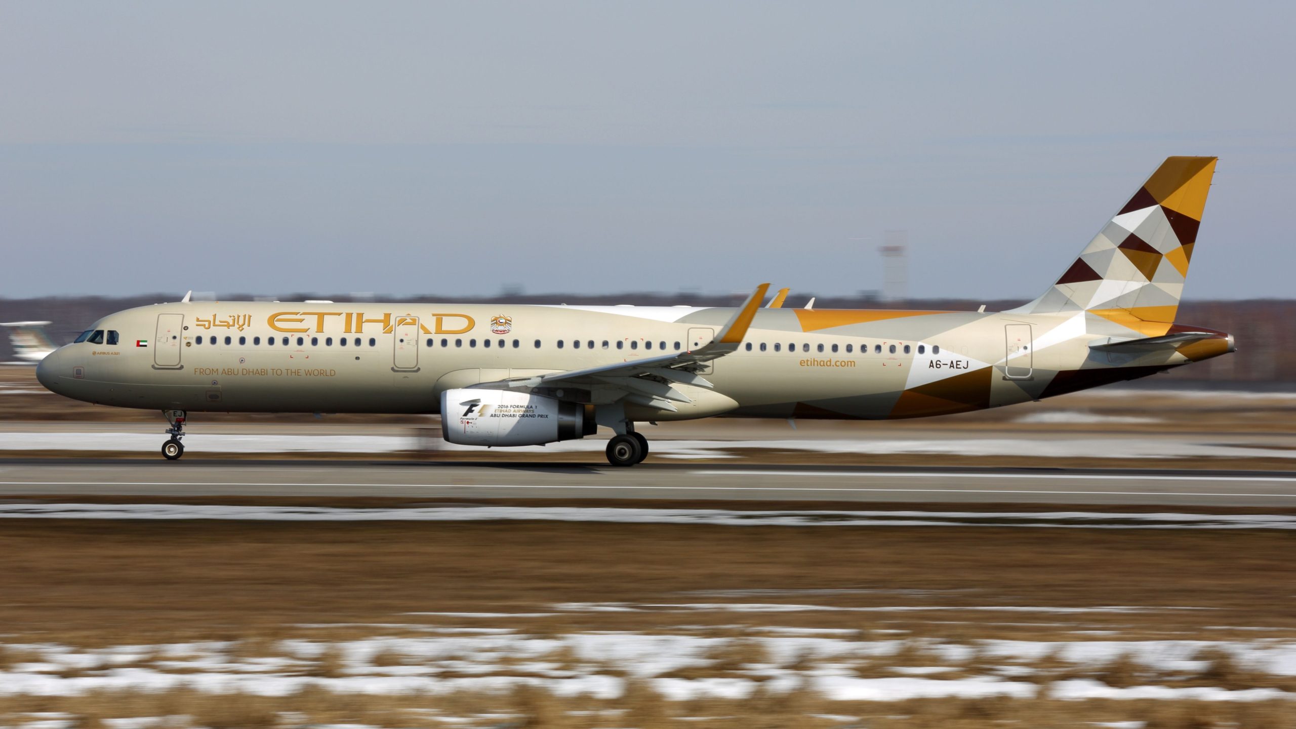 Augmentation annuelle de 40%: Etihad a transporté 8,7 millions de passagers en 2024