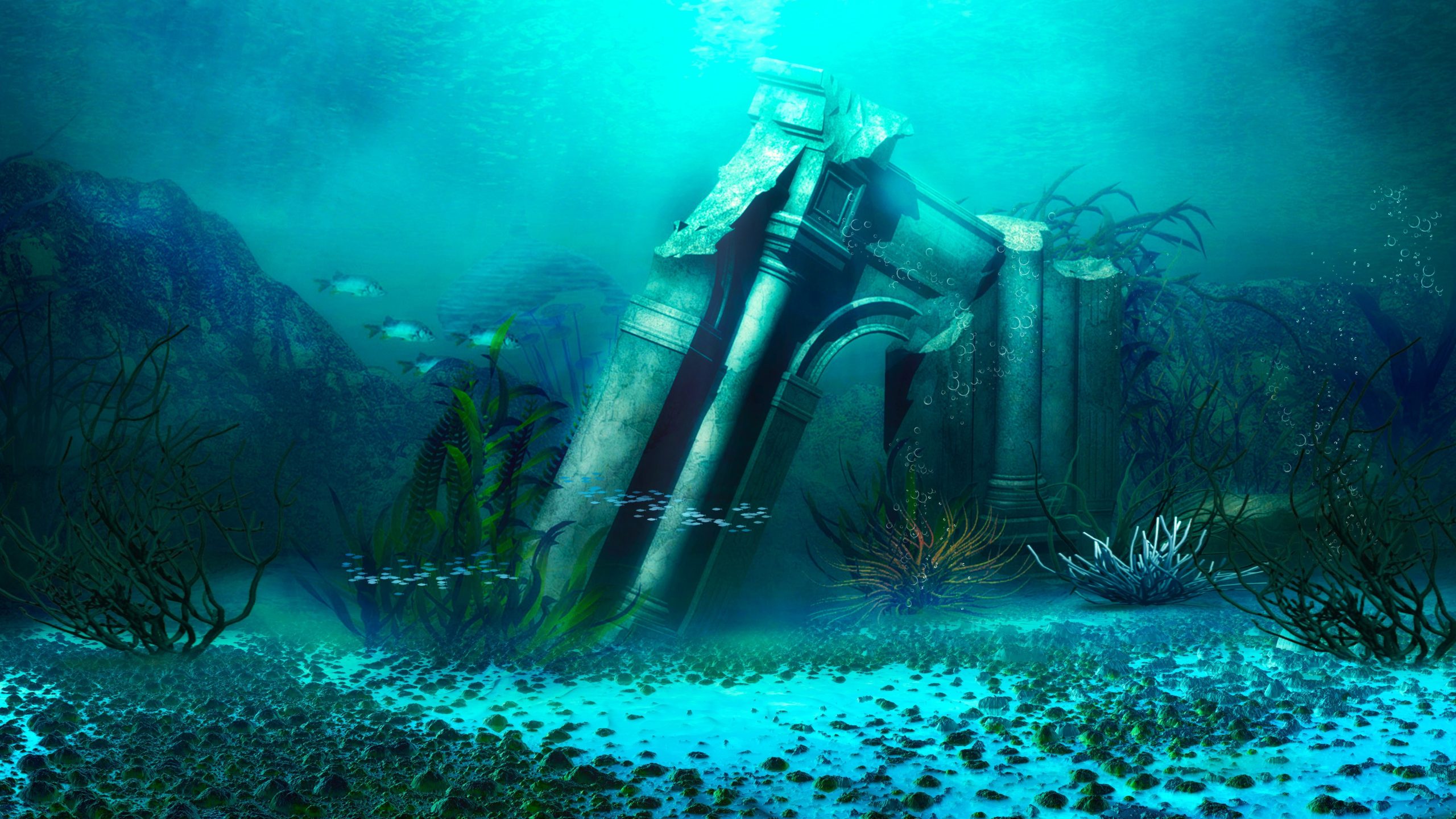 «Yellow Brick Road to Atlantis» trouvé sur le site du parc national américain