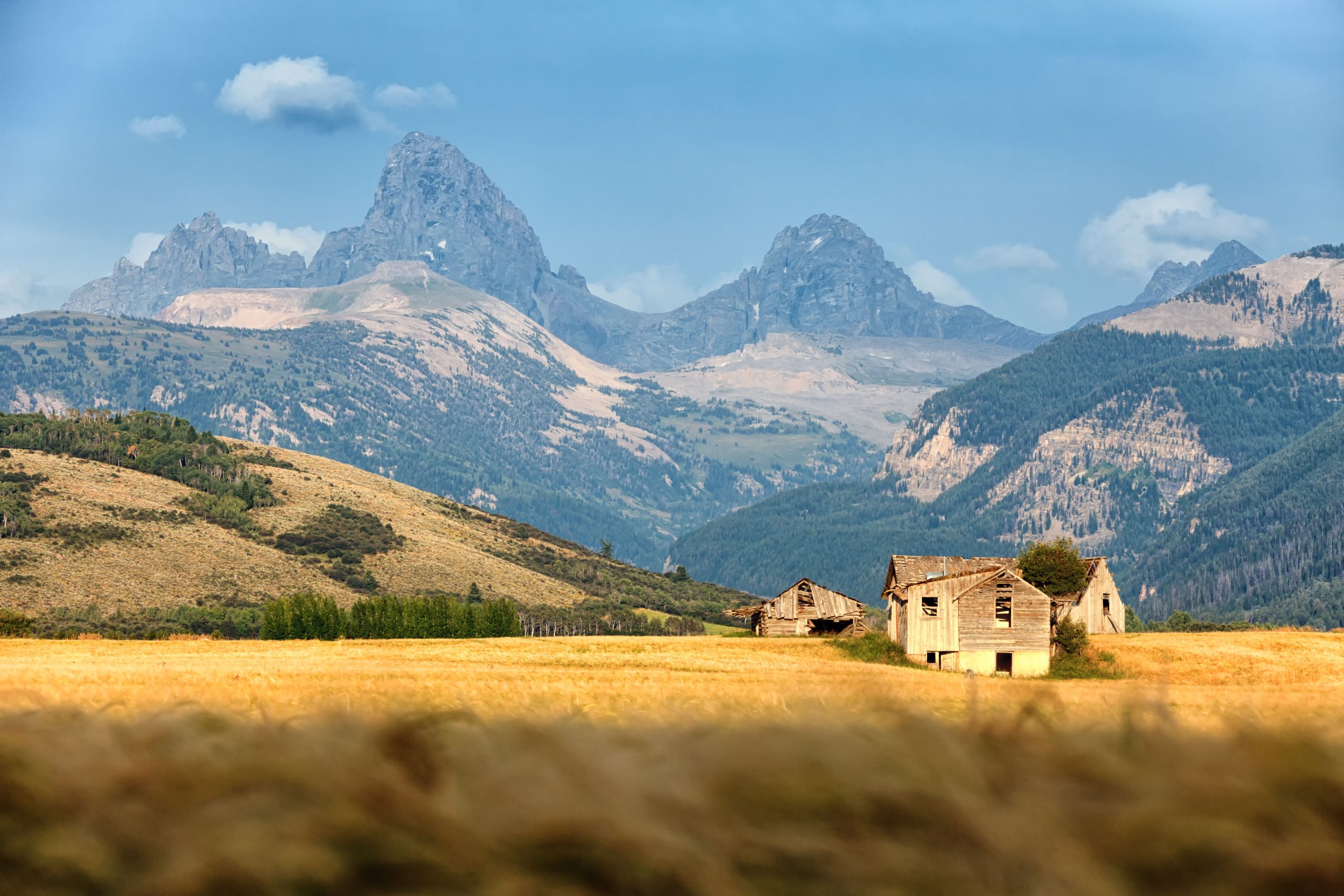 La folla di Trade Jackson Hole per questa città del Wyoming sottovalutata con una stazione sciistica di basso tasto a portata di mano