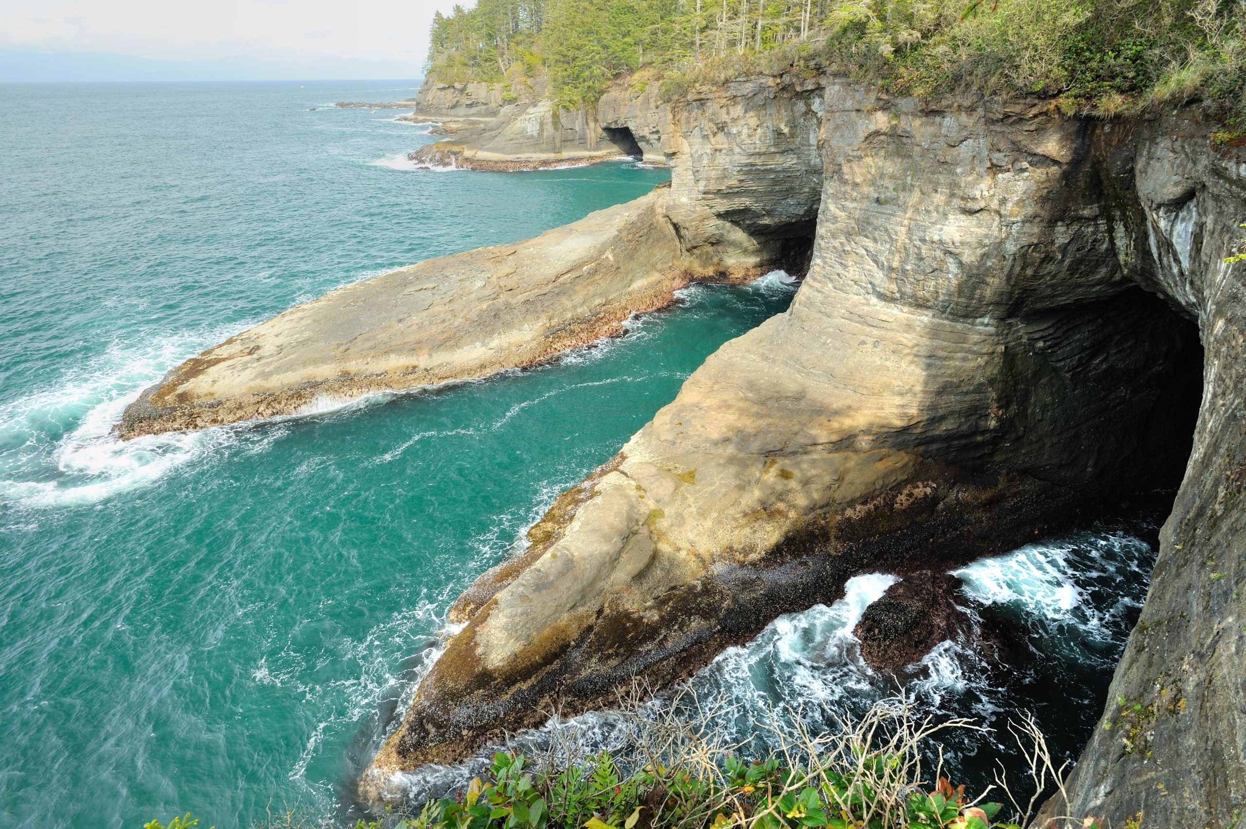 Top 10 migliori parchi nazionali negli Stati Uniti per il 2025