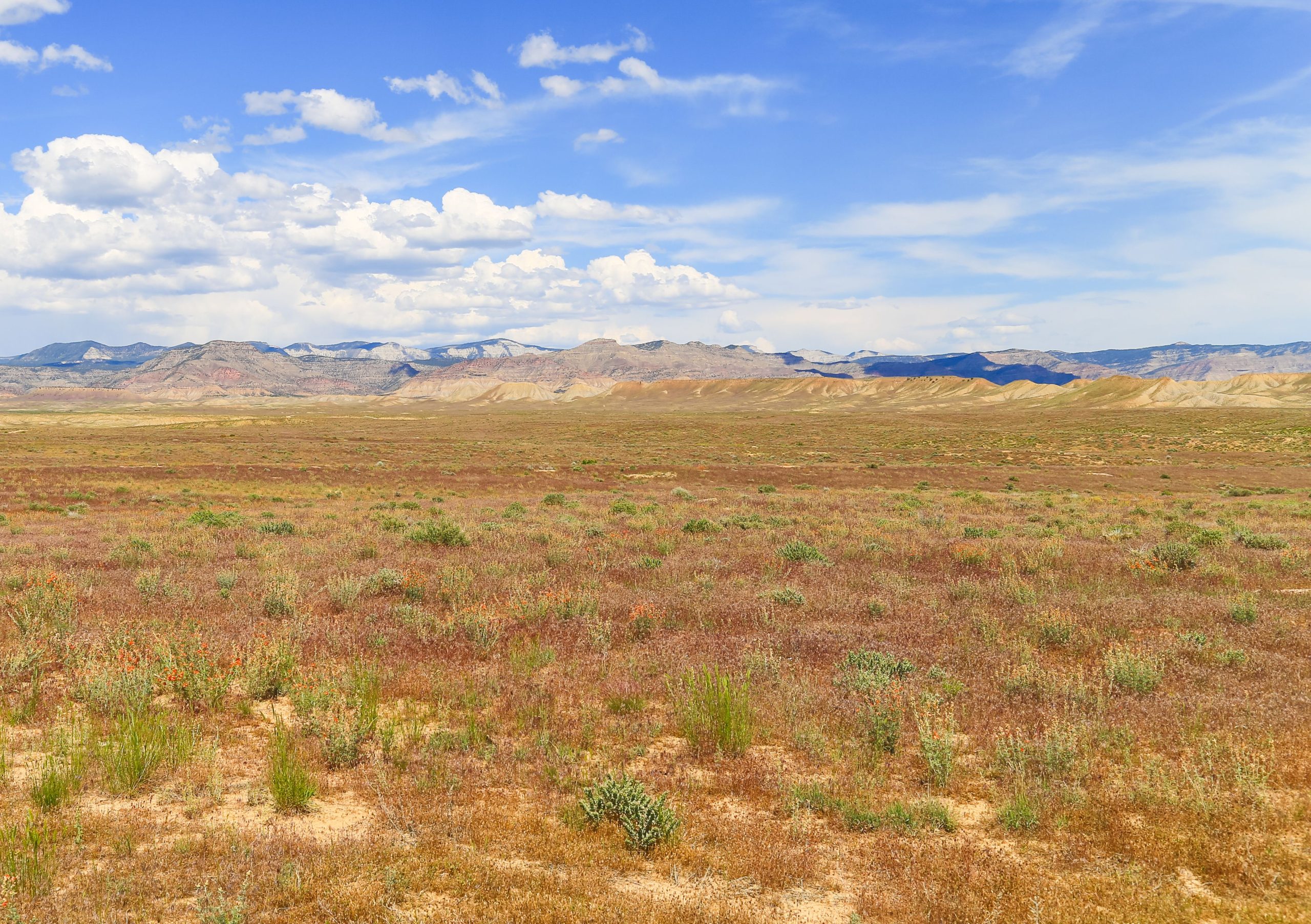 7 meilleures villes du désert du Colorado