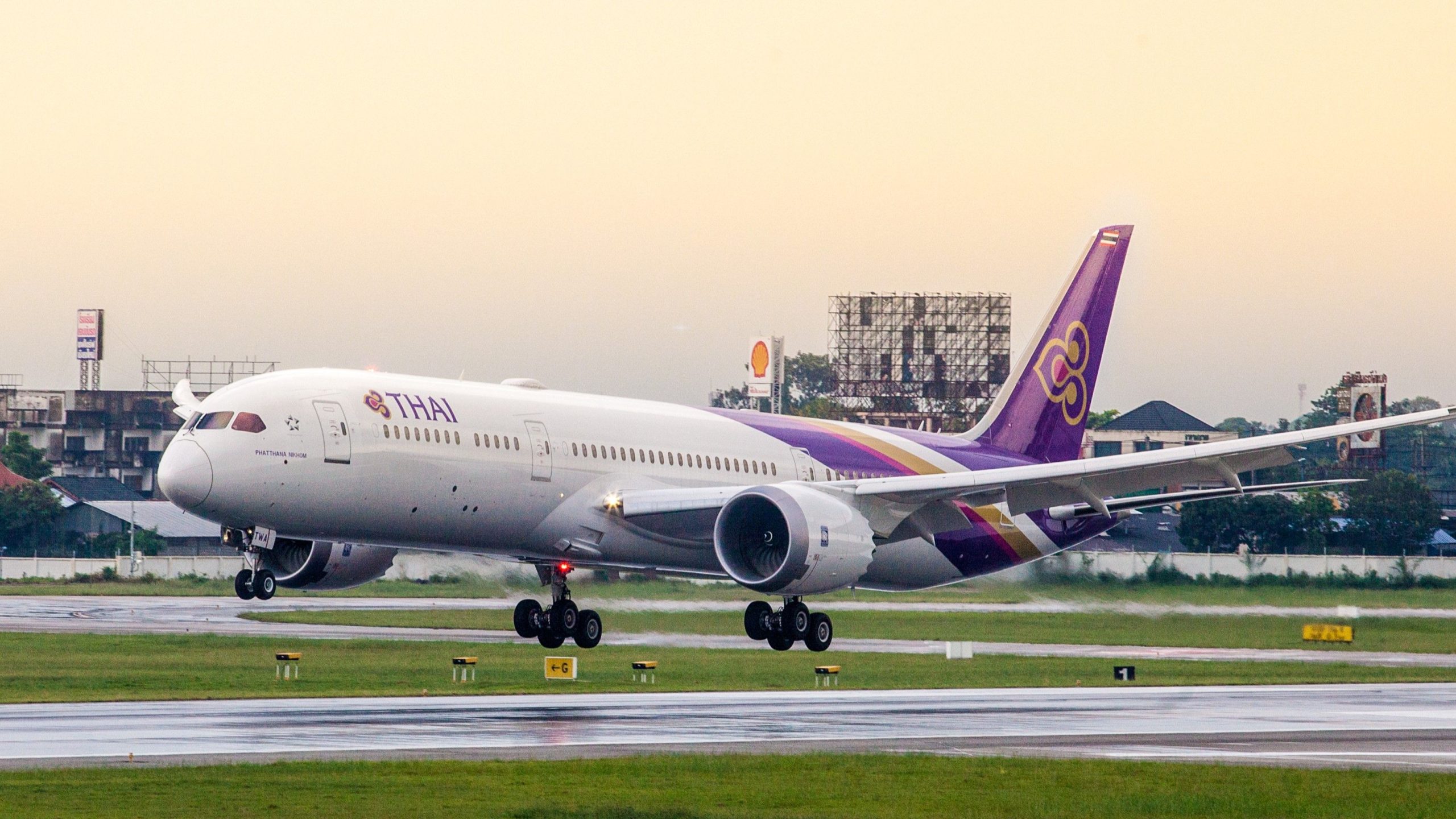 87 animaux trouvés à l'intérieur des bagages de passagers à Bangkok