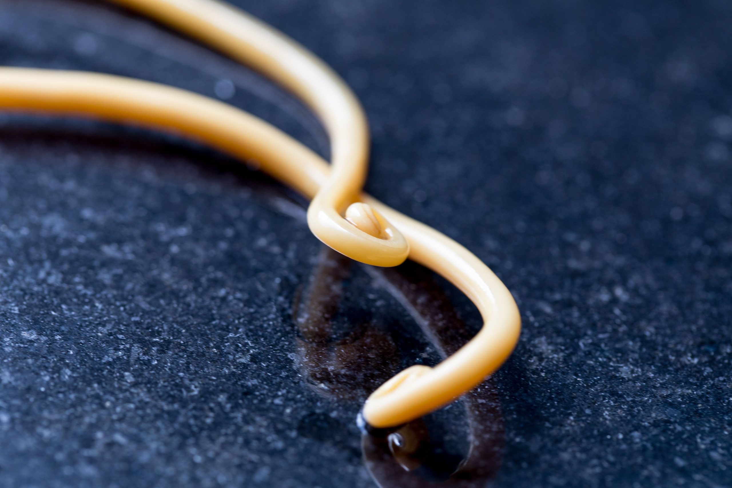 10 parasitas mais aterrorizantes que podem infectar humanos