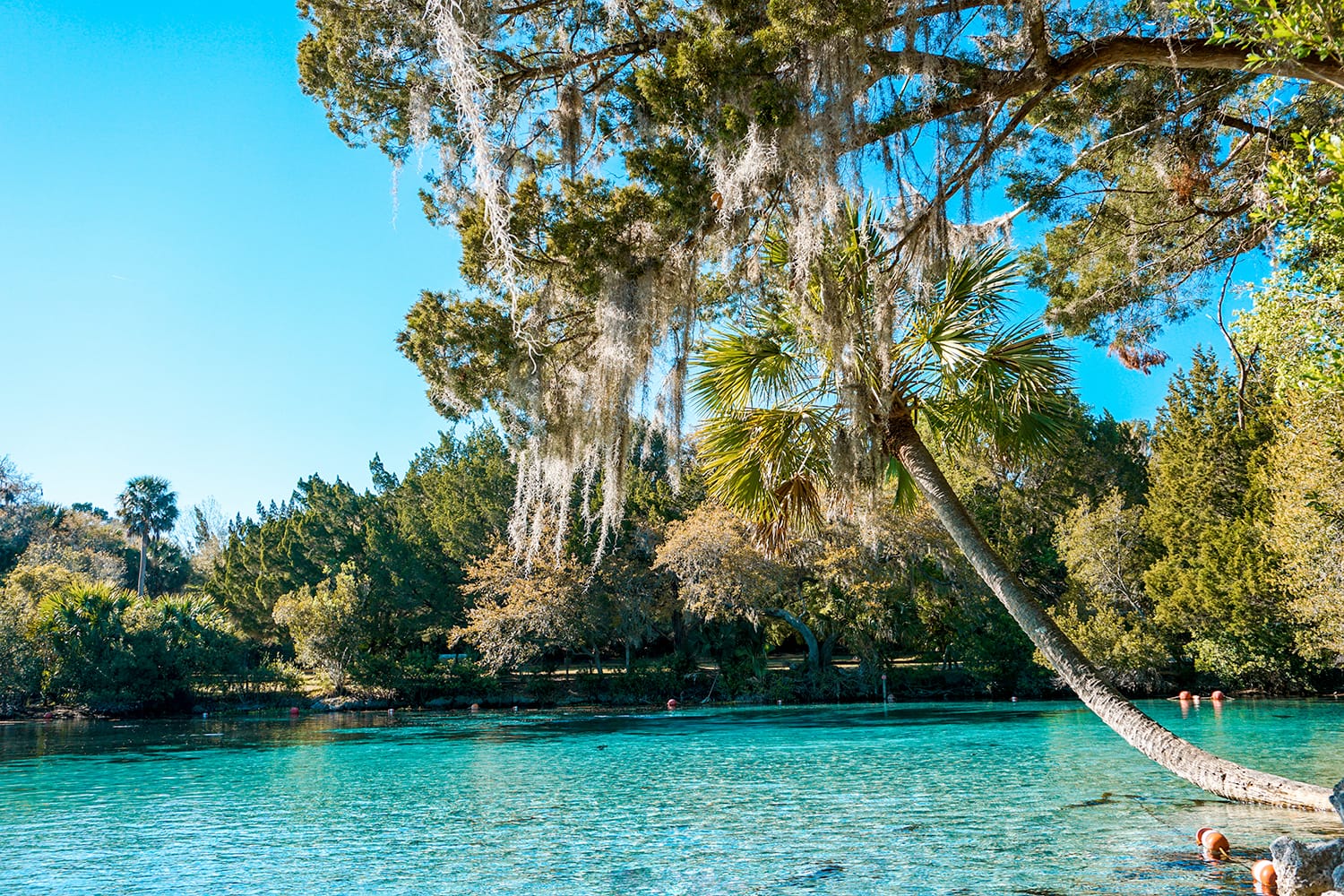 15 Best Springs en Floride, USA