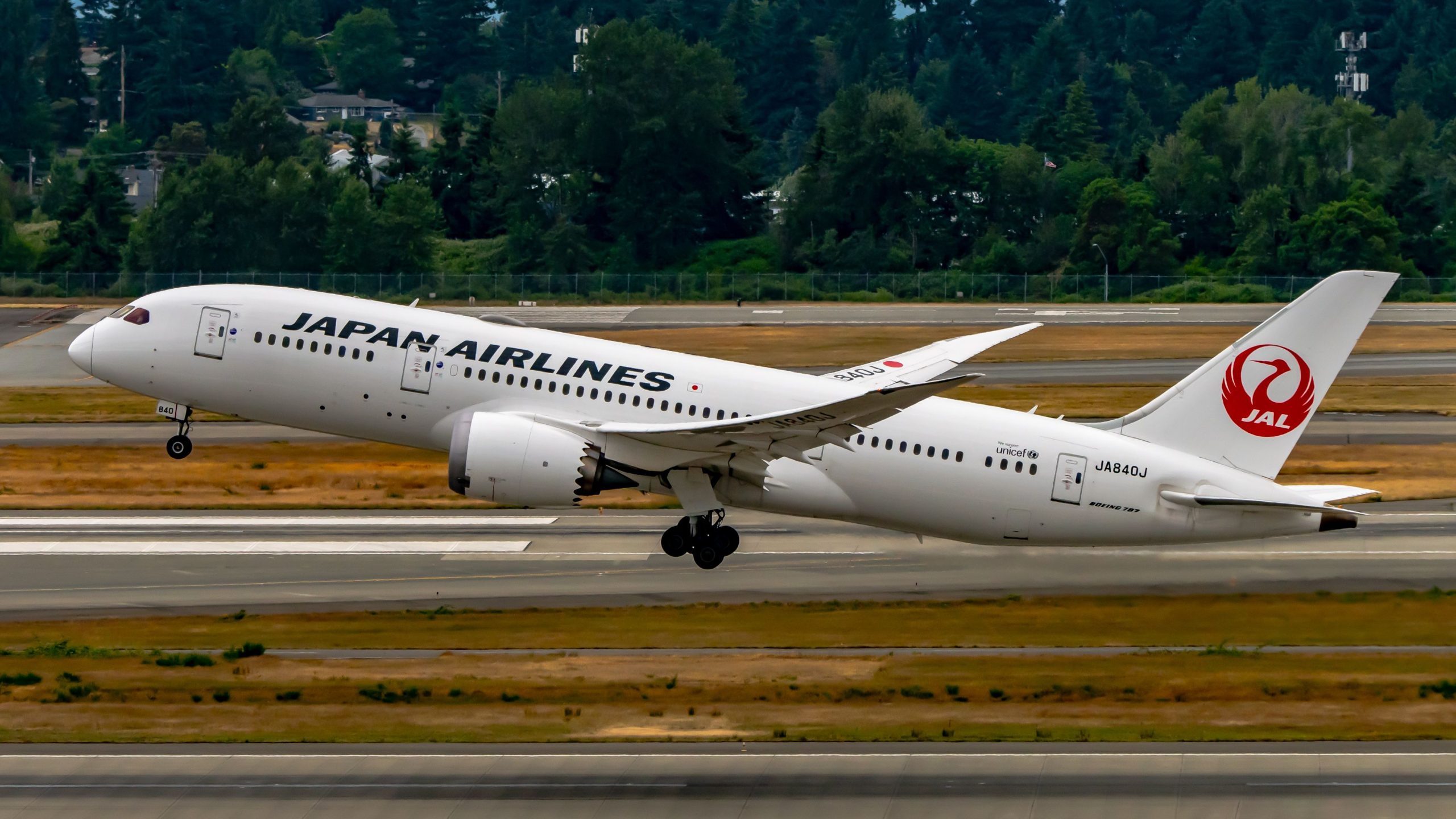 Japan Airlines afferma che il Nord America è cruciale per il suo successo