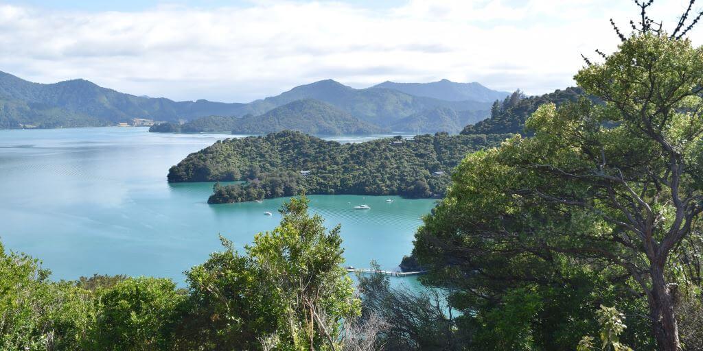 Nueva Zelanda La alegría de viajar lentamente después de un largo período de viaje agotador, una caminata de cuatro días en la pista de la reina Charlotte de Nueva Zelanda es solo el refresco que Helen Glenny necesita.