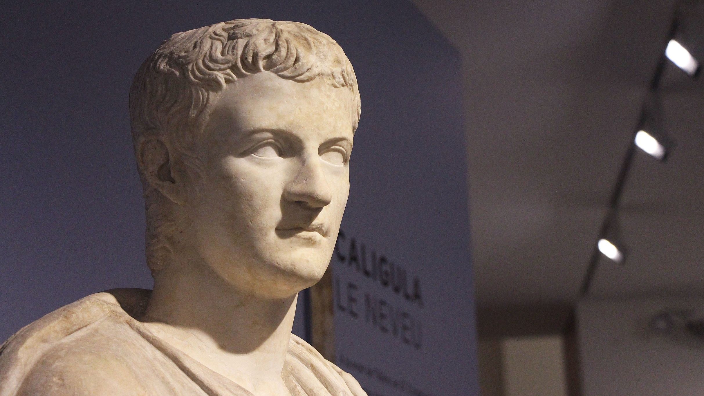 Un jardin ancien vient d'être découvert à Rome