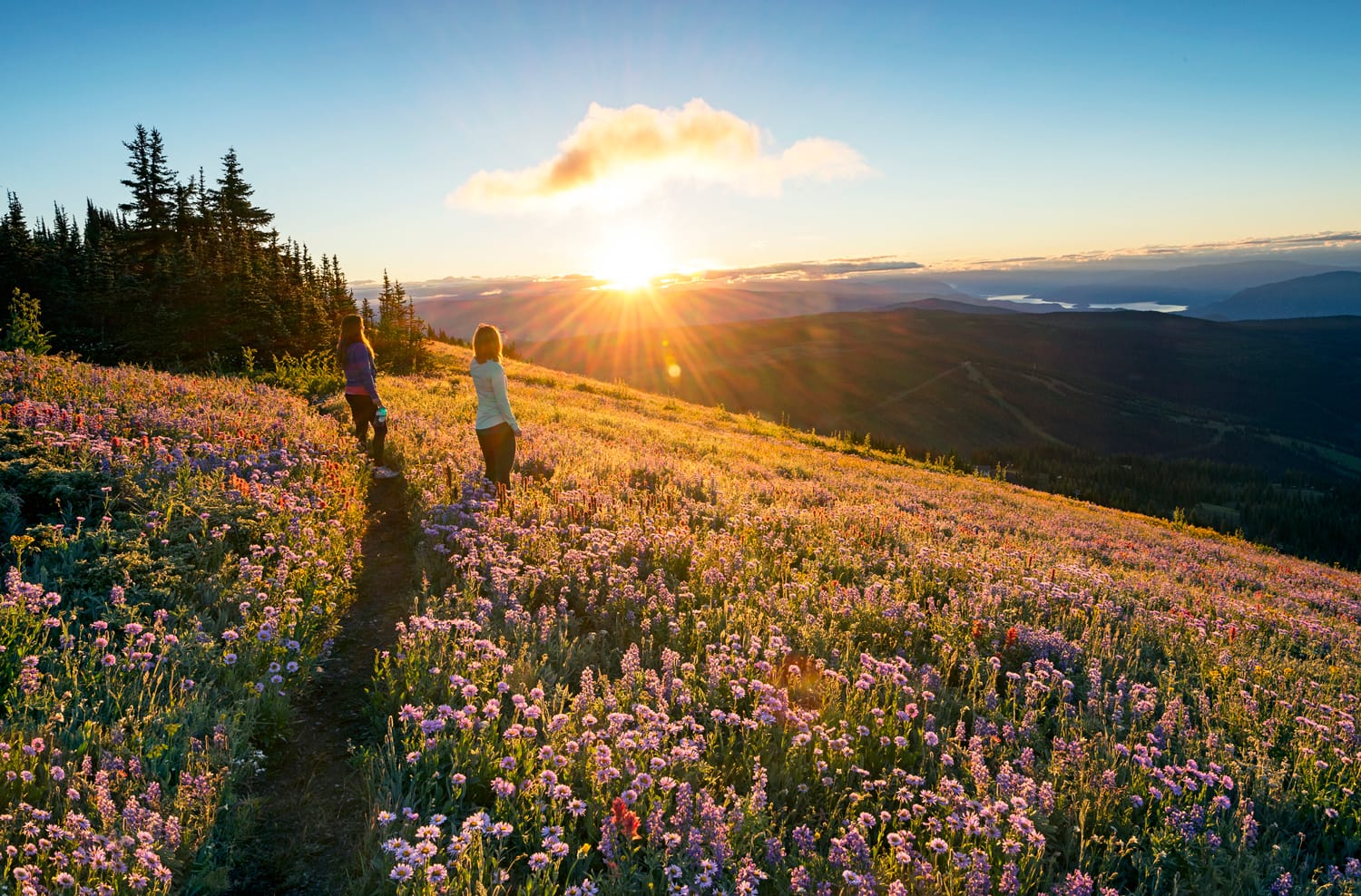 6 razones por las que debe visitar Sun Peaks este verano