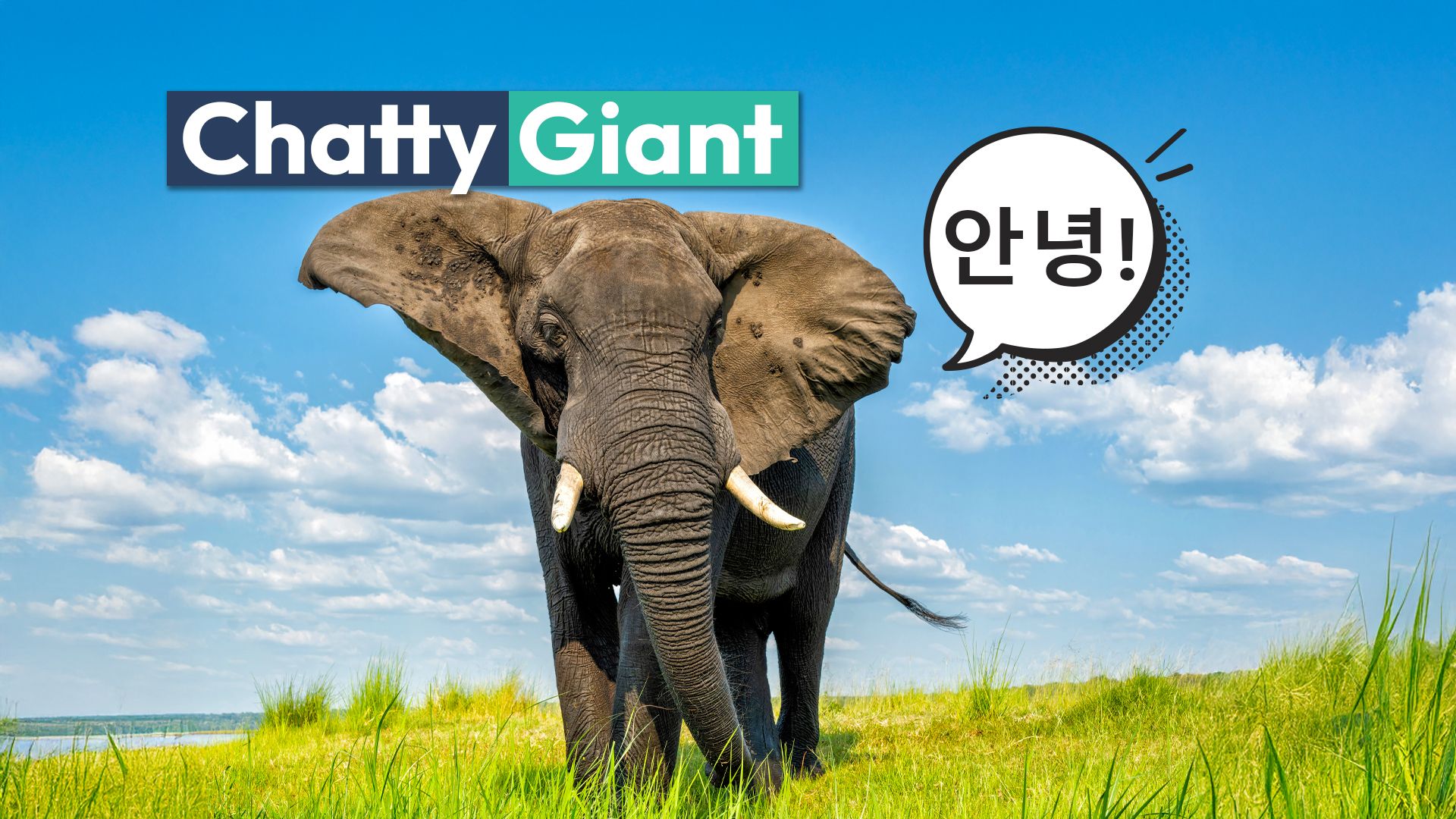 O elefante asiático que fala coreano