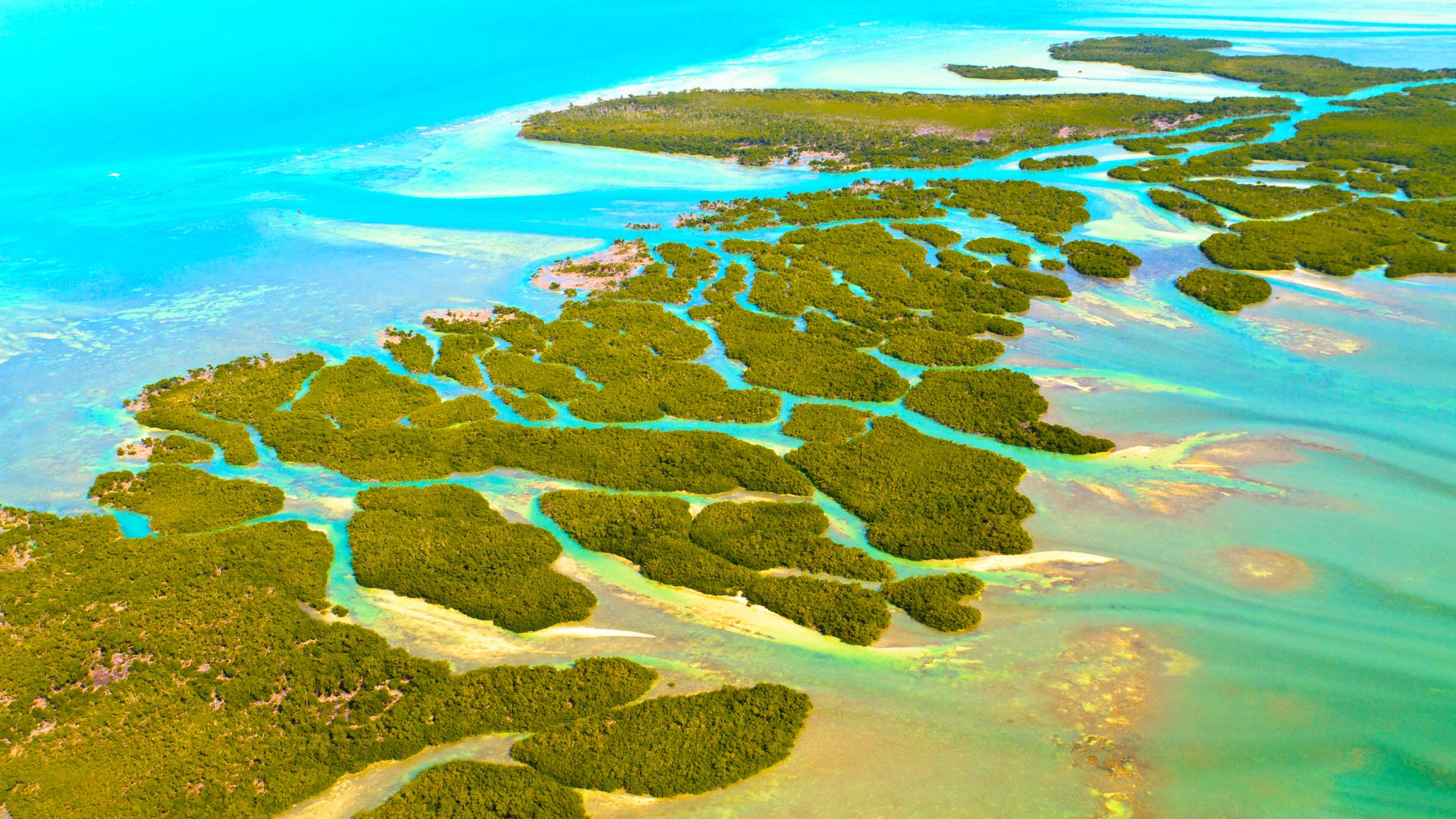 Les «Maldives» des Florida Keys sont un paradis sous-estimé avec des barres de sable blanc et des aventures de type Everglades