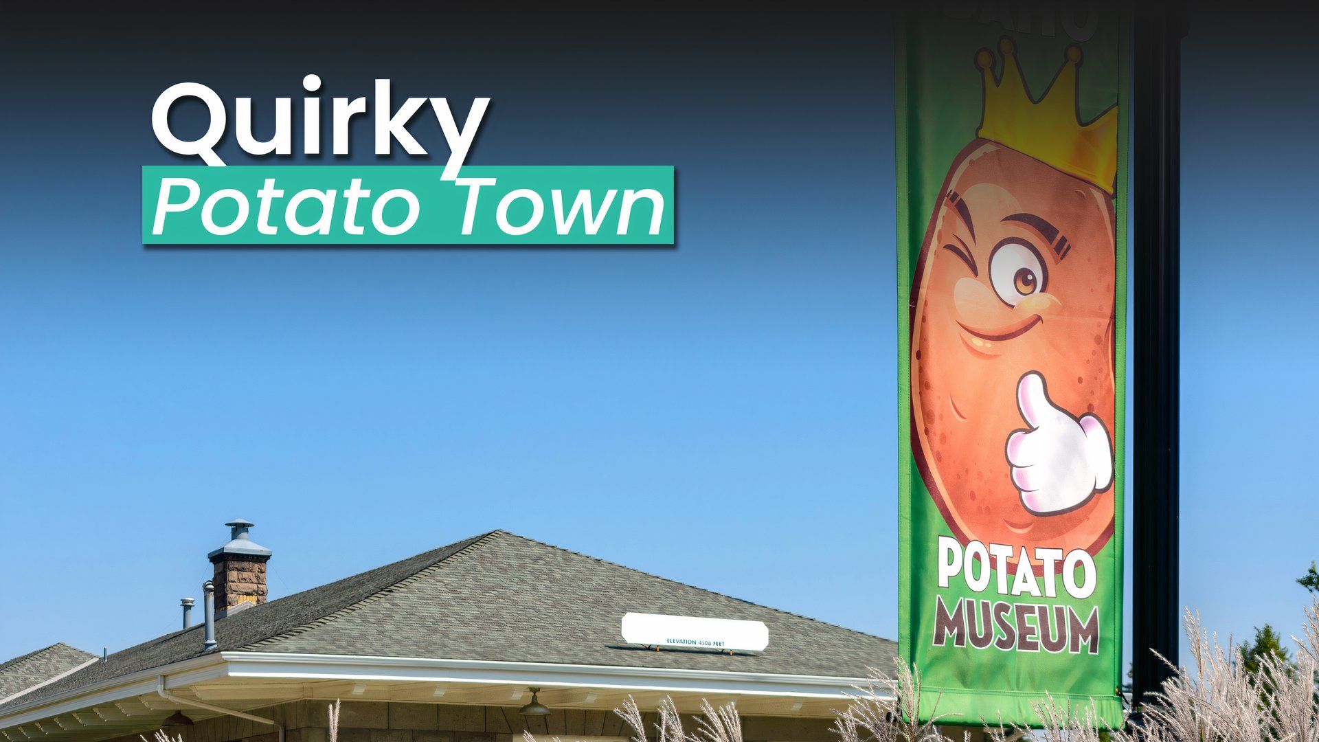 La peculiar ciudad estadounidense denominó la "capital mundial de la papa"