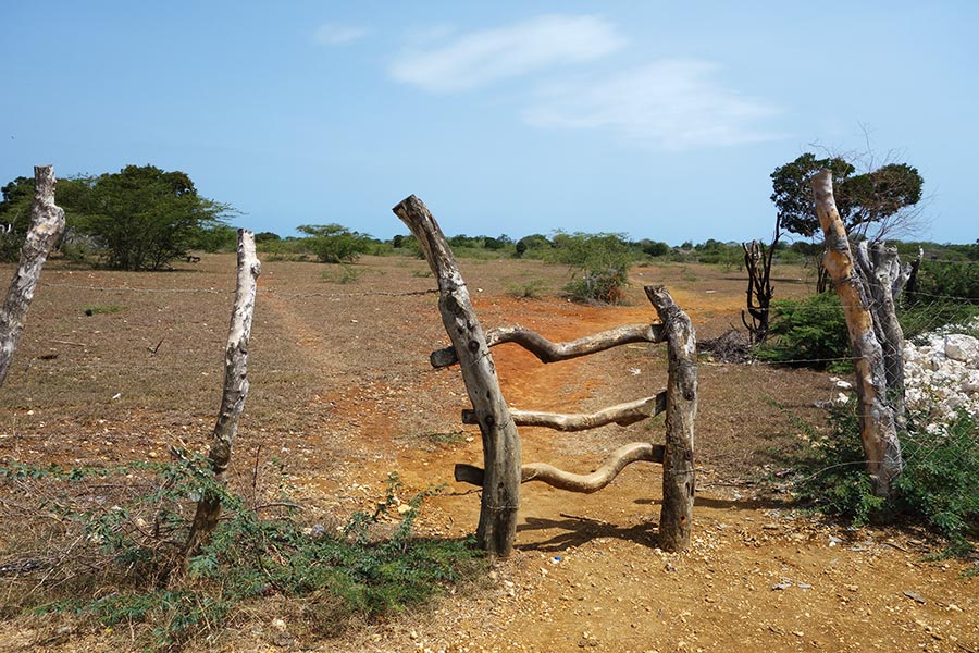 Treasure Beach: una fuga dal caos turistico