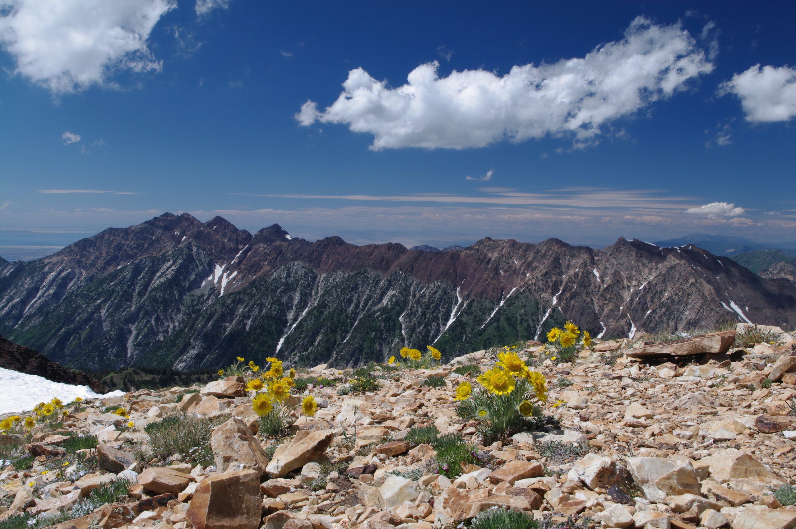 7 randonnées les plus raides avec le plus de gain d'élévation de l'Utah