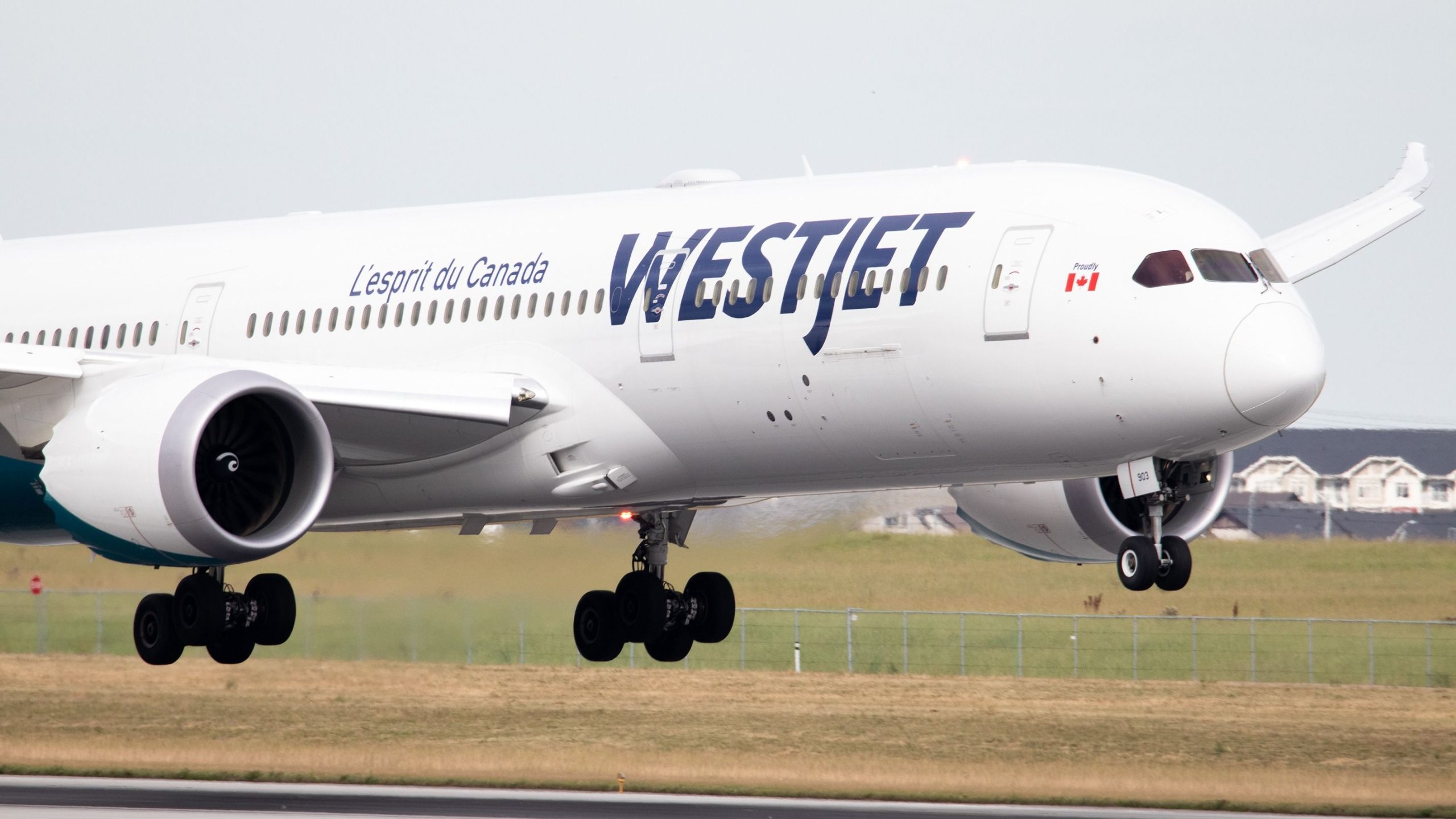WestJet juega en la tendencia electoral posterior a los Estados Unidos con el anuncio de 'Vuelos unidireccionales a Canadá'