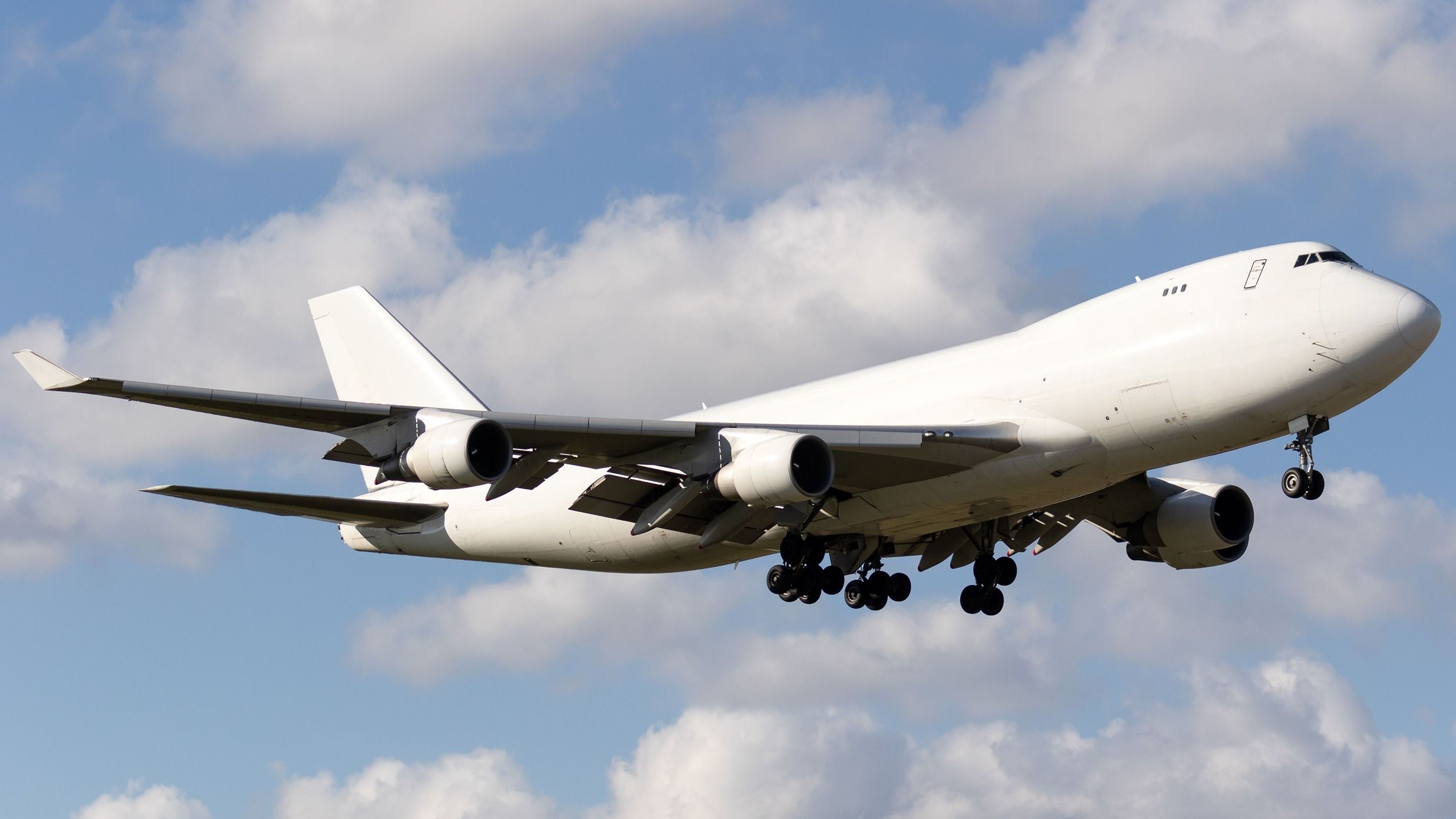 Tráfico de vida silvestre: los funcionarios de aduanas de los Estados Unidos se apoderan de los escorpiones de Fattail en el aeropuerto del condado de Detroit Metro