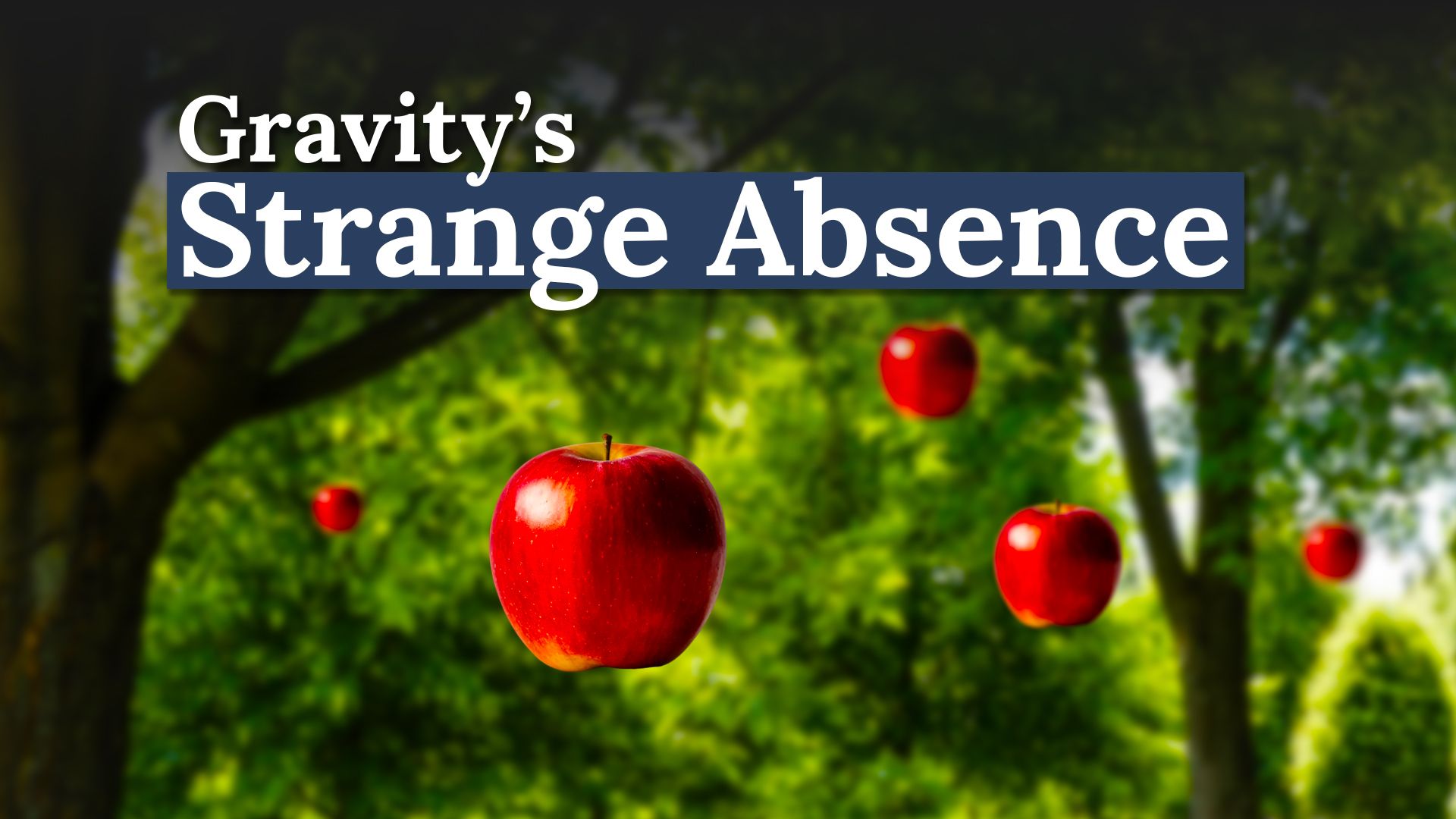 Pourquoi la gravité est «manquante» dans cette partie bizarre du Canada