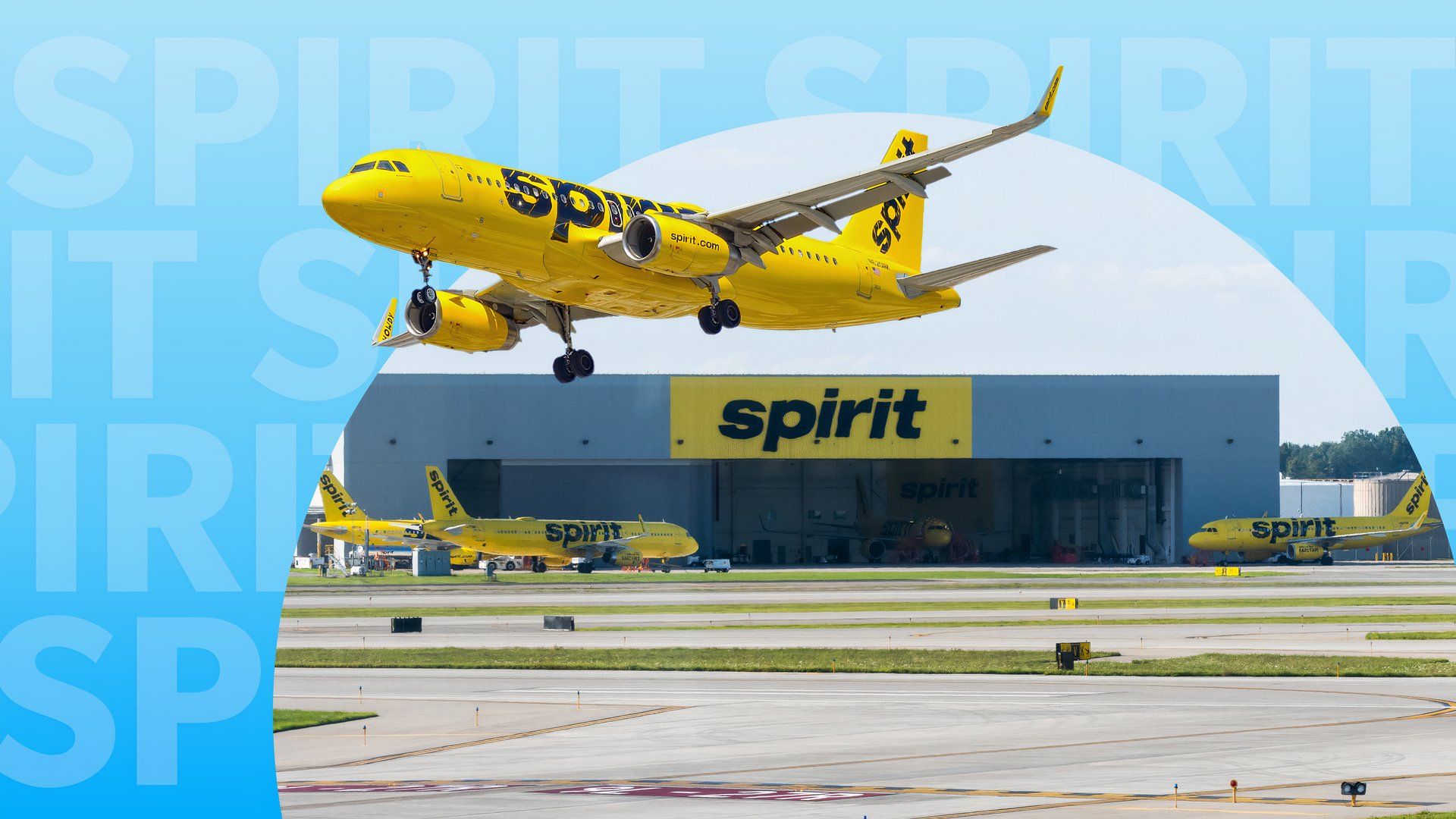 Por que os maiores fãs da Spirit Airlines adoram sua "existência tanto"