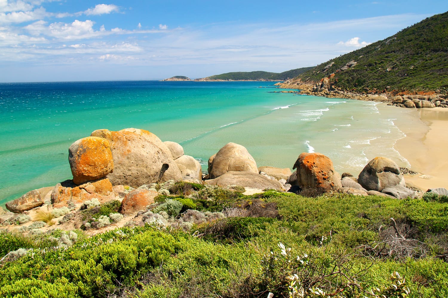 15 migliori gite di un giorno da Melbourne, Australia