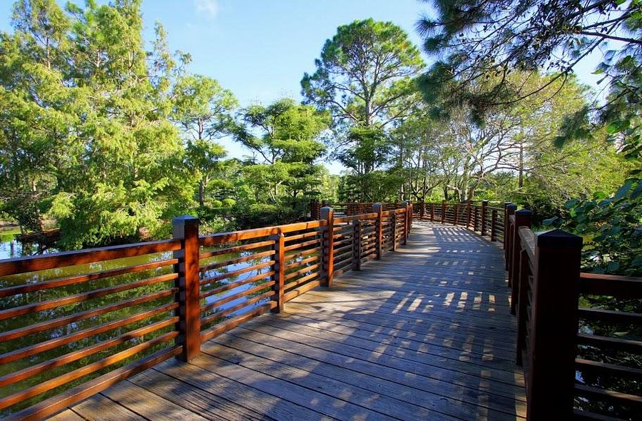 Jardines japoneses de Morikami: dentro de la escapada escondida de Florida