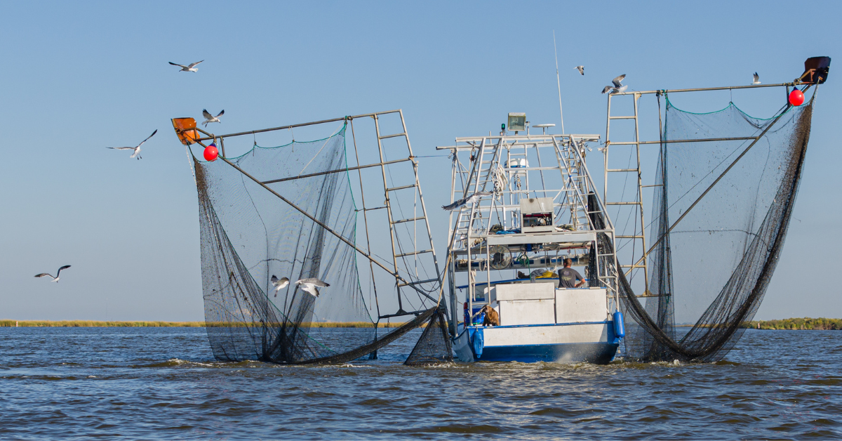 La Louisiane devient moins attrayante avec son industrie de 1,3 milliard de dollars sur le point de disparaître