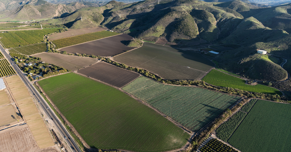 Des conditions météorologiques désastreuses ont ruiné le ranch anti-Hollywood de Tom Selleck