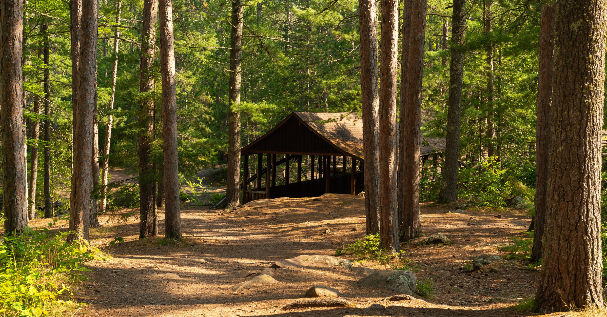 Les utilisateurs de Reddit ont des réactions mitigées après qu'un jeune de 12 ans a sauvé son père d'une attaque d'ours dans le Wisconsin