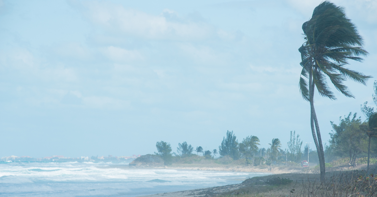 Los floridanos se preocupan después de que el usuario de X muestra cómo se ve el pronóstico de mareque de tormenta de 20 pies del Centro Nacional de Huracanes