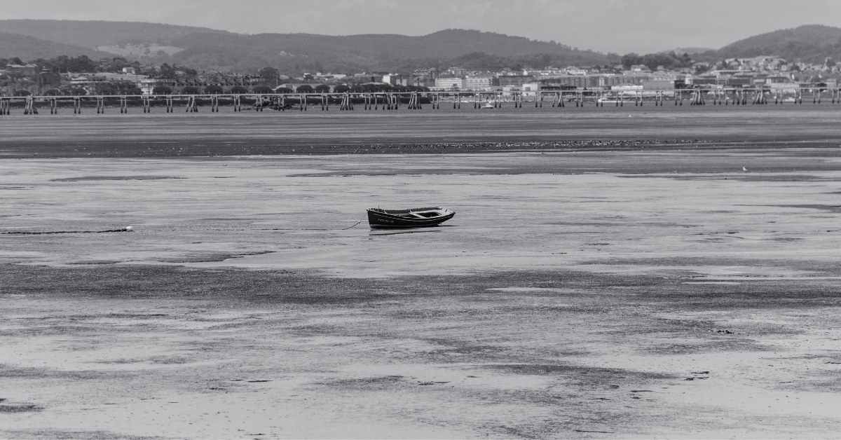 Imagens emocionais mostram a Guarda Costeira dos EUA salvando um homem e seu cachorro em um barco de vela encalhados durante o furacão Helene