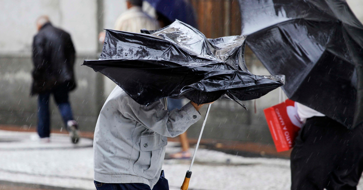 Milhares de pessoas ficaram presas no Brasil por ventos devastadores de 60 km / h violentos