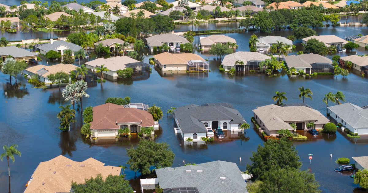 X Usuários estão chateados com as imagens falsas da categoria 6 que se espalham online
