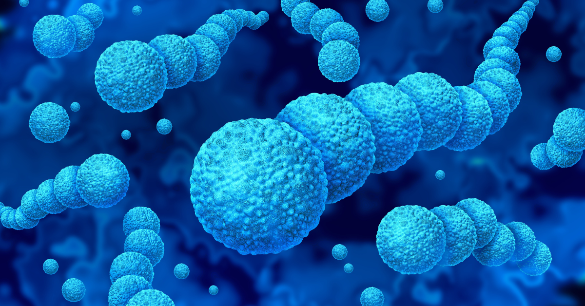 Le regioni della Florida Hillsborough e Pinellas vedono l'ascesa nei batteri che mangiano carne a seguito dell'uragano Helene e Milton