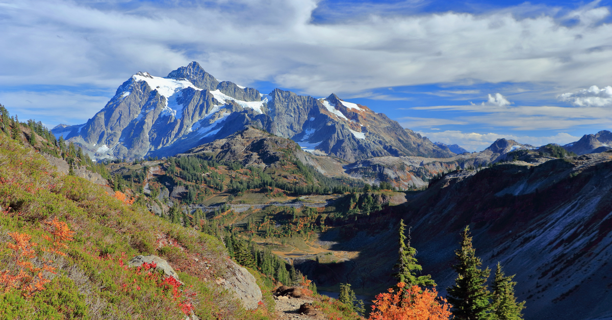O ninho abandonado dos ursos no Parque Nacional North Cascades de Washington salvou a vida deste caminhante