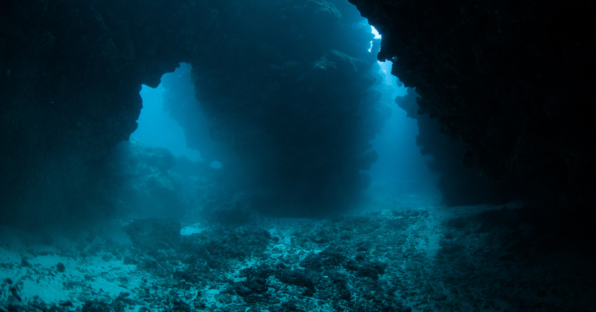 Un nouveau grand prédateur est vu s'adapter à la vie dans un endroit sur terre, d'autres espèces n'oseront pas visiter